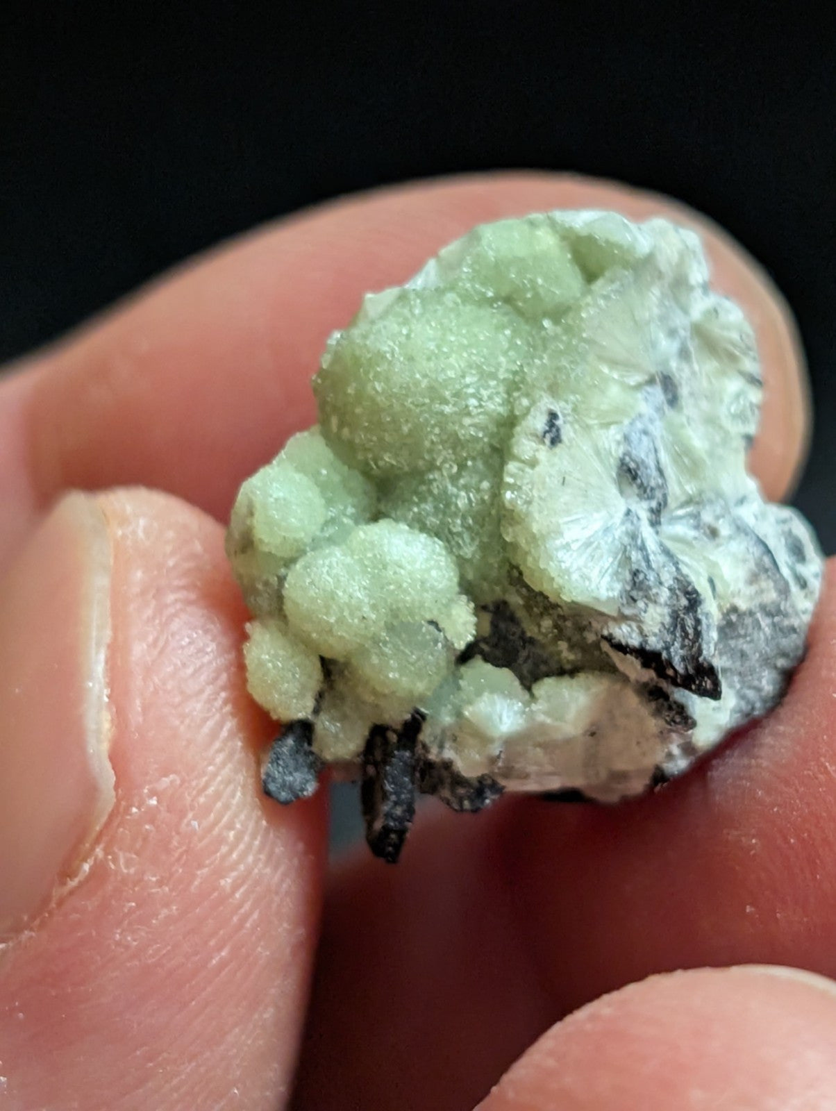 Wavellite - A + Crystallization - Old Stock - Mauldin Mountain Arkansas USA - Collectibles:Rocks Fossils &