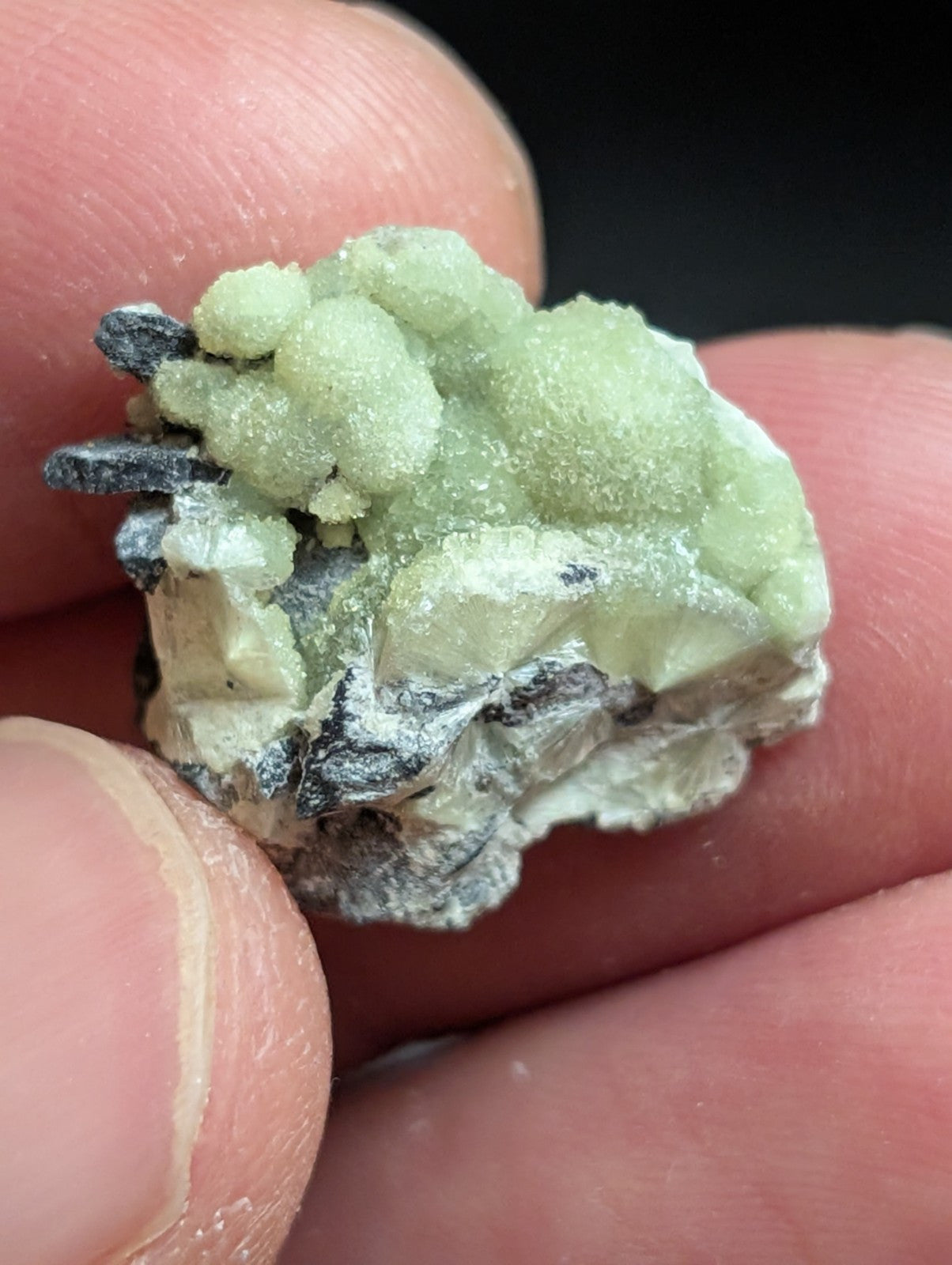 Wavellite - A + Crystallization - Old Stock - Mauldin Mountain Arkansas USA - Collectibles:Rocks Fossils &