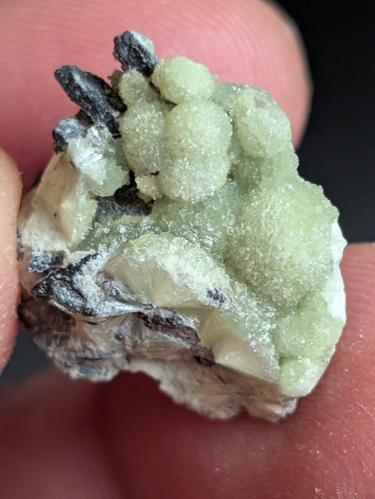 Wavellite - A + Crystallization - Old Stock - Mauldin Mountain Arkansas USA - Collectibles:Rocks Fossils &