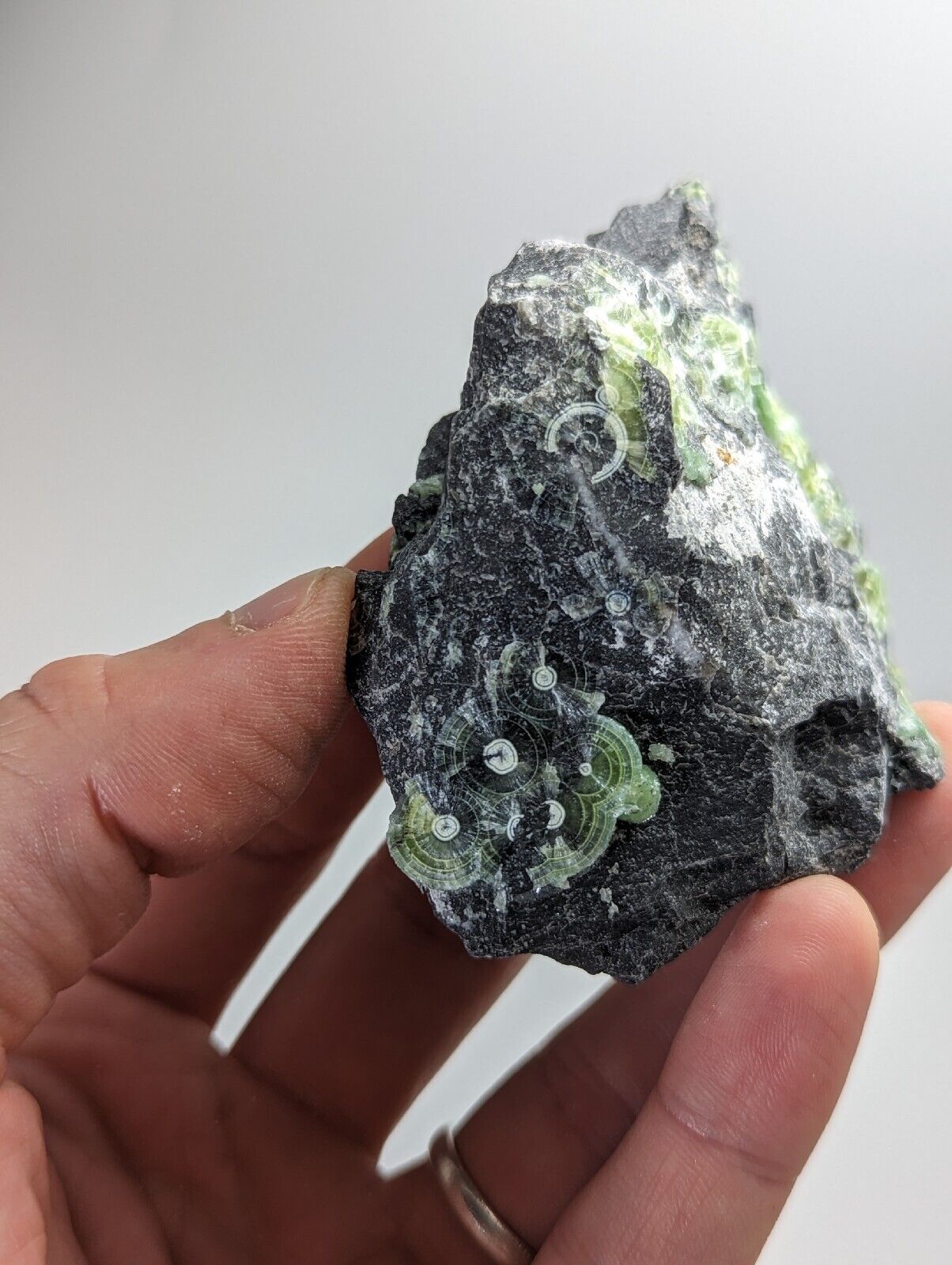 Wavellite with ’Eyeforms’ Fantastic Old Stock- Mauldin Mountain Arkansas - Collectibles:Rocks Fossils &