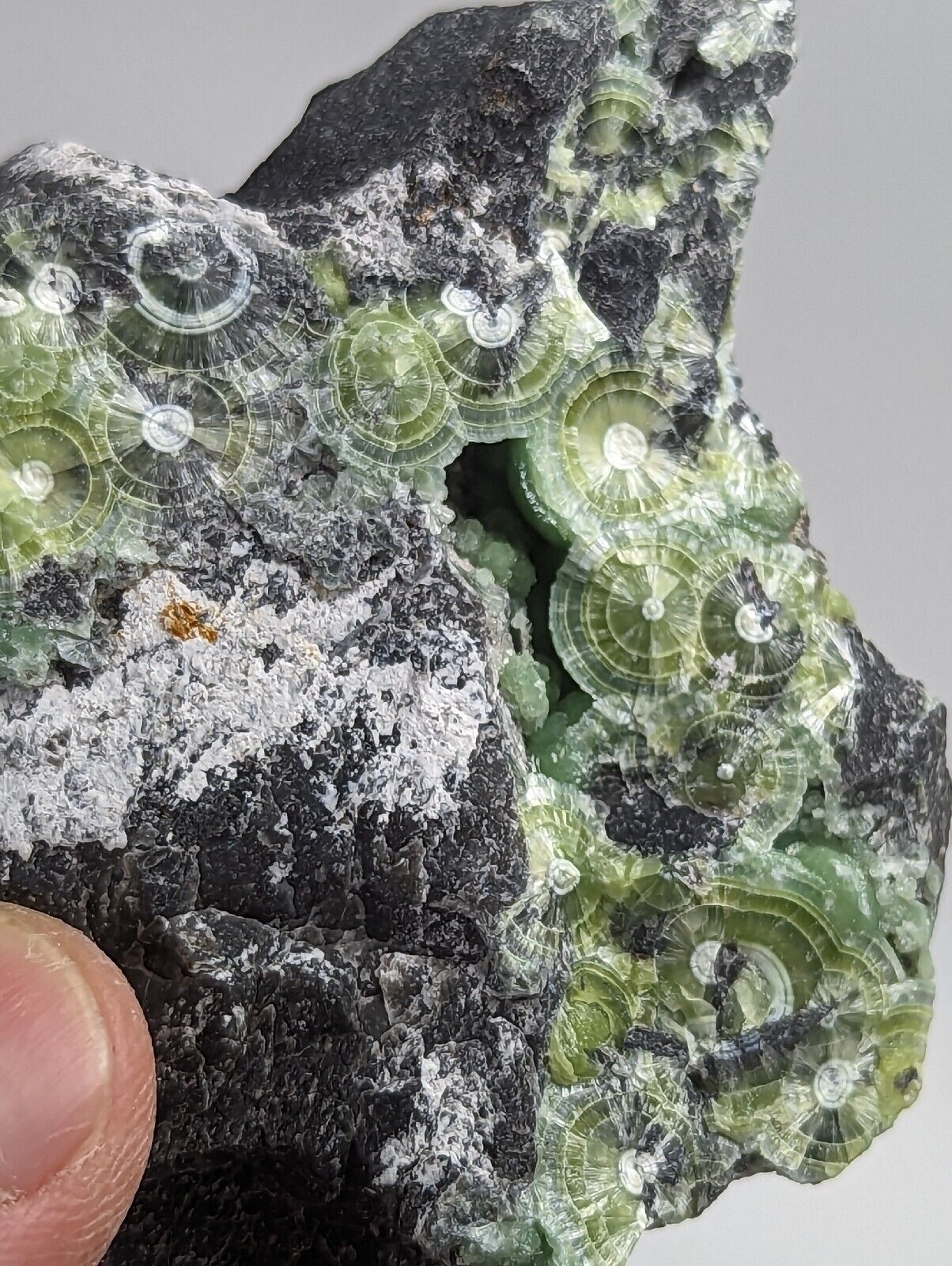 Wavellite with ’Eyeforms’ Fantastic Old Stock- Mauldin Mountain Arkansas - Collectibles:Rocks Fossils &