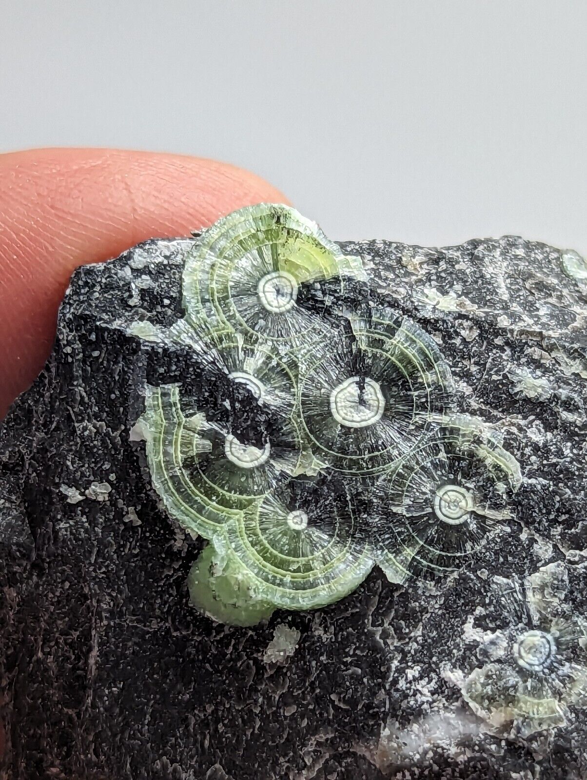 Wavellite with ’Eyeforms’ Fantastic Old Stock- Mauldin Mountain Arkansas - Collectibles:Rocks Fossils &