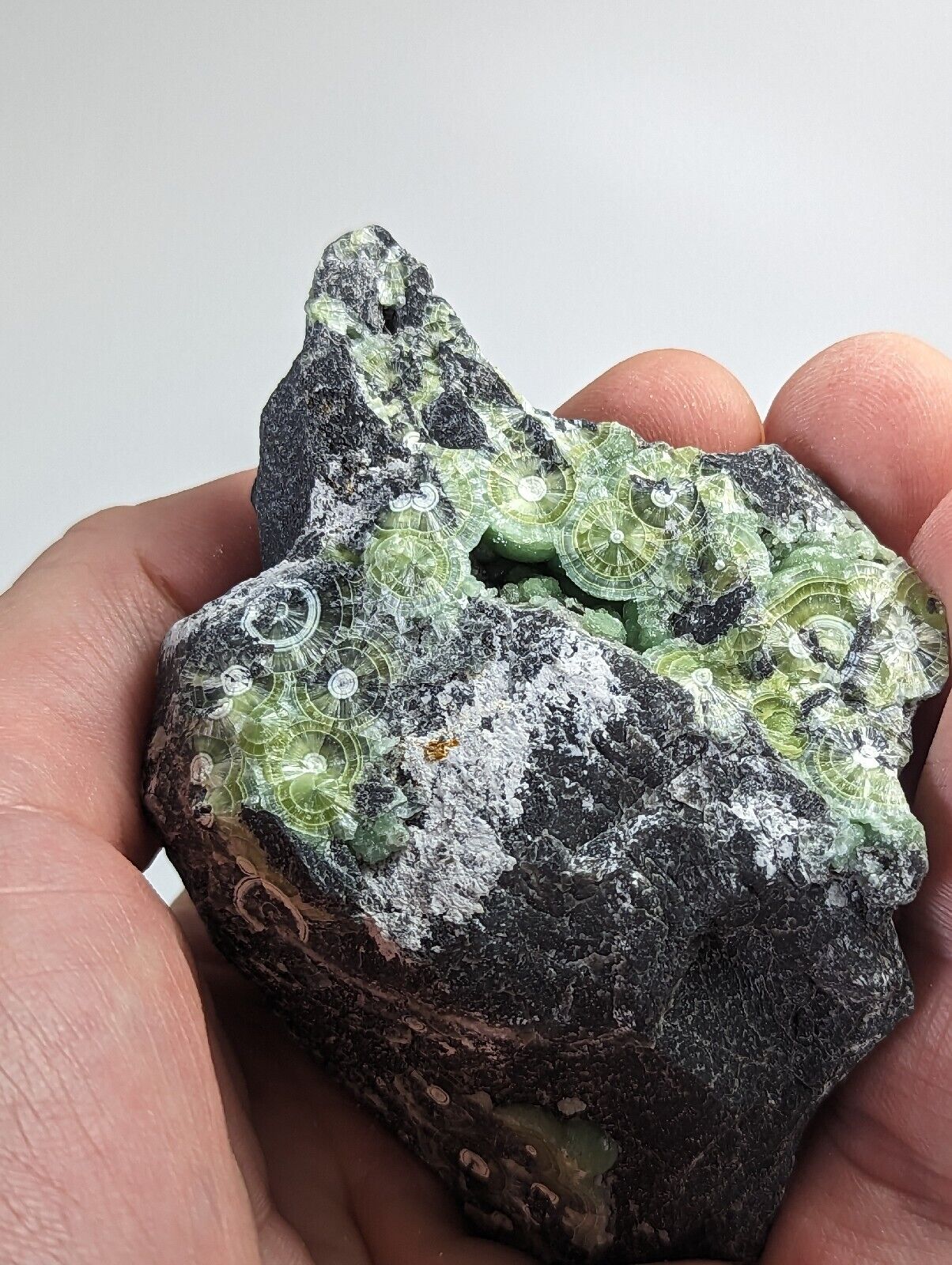 Wavellite with ’Eyeforms’ Fantastic Old Stock- Mauldin Mountain Arkansas - Collectibles:Rocks Fossils &