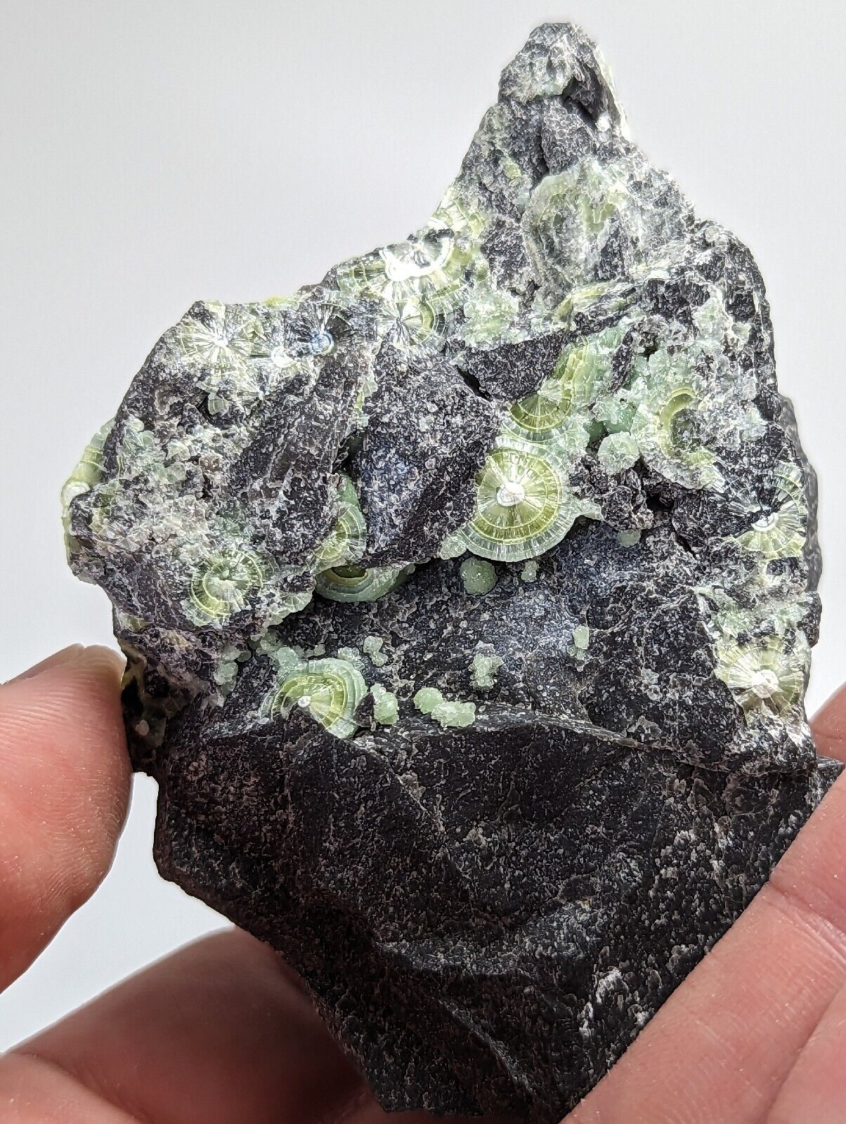 Wavellite with ’Eyeforms’ Fantastic Old Stock- Mauldin Mountain Arkansas - Collectibles:Rocks Fossils &