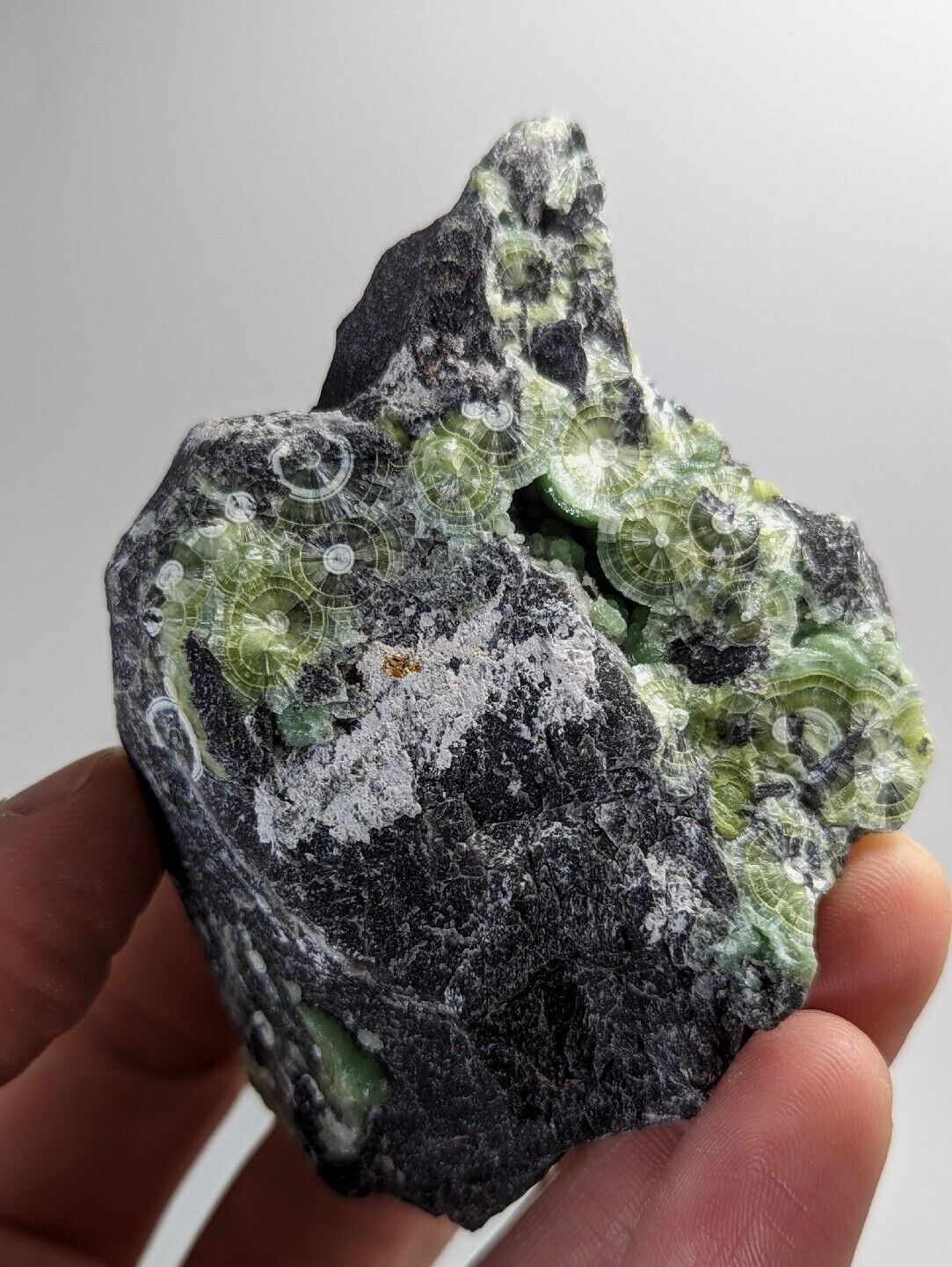 Wavellite with ’Eyeforms’ Fantastic Old Stock- Mauldin Mountain Arkansas - Collectibles:Rocks Fossils &