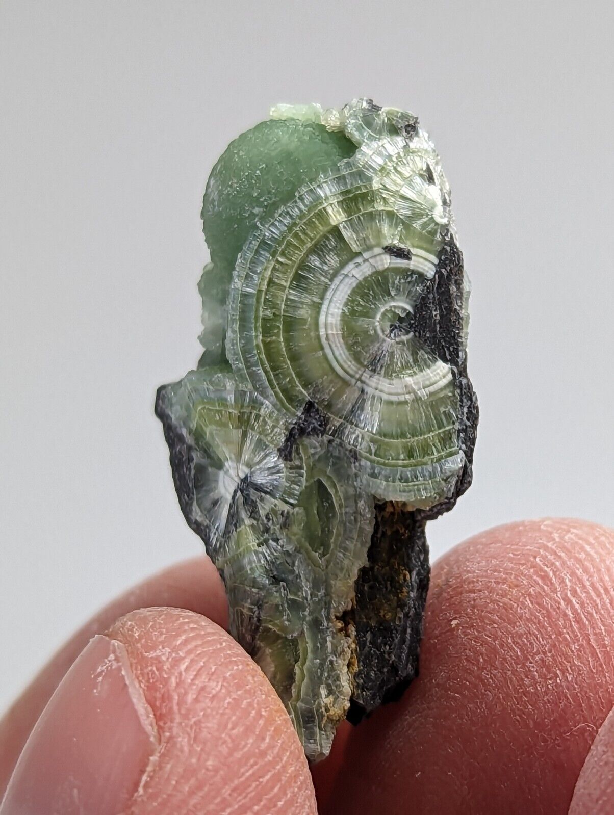 Wavellite - Fantastic 1990s Old Stock - Mauldin Mountain Arkansas - Collectibles:Rocks Fossils & Minerals:Crystals