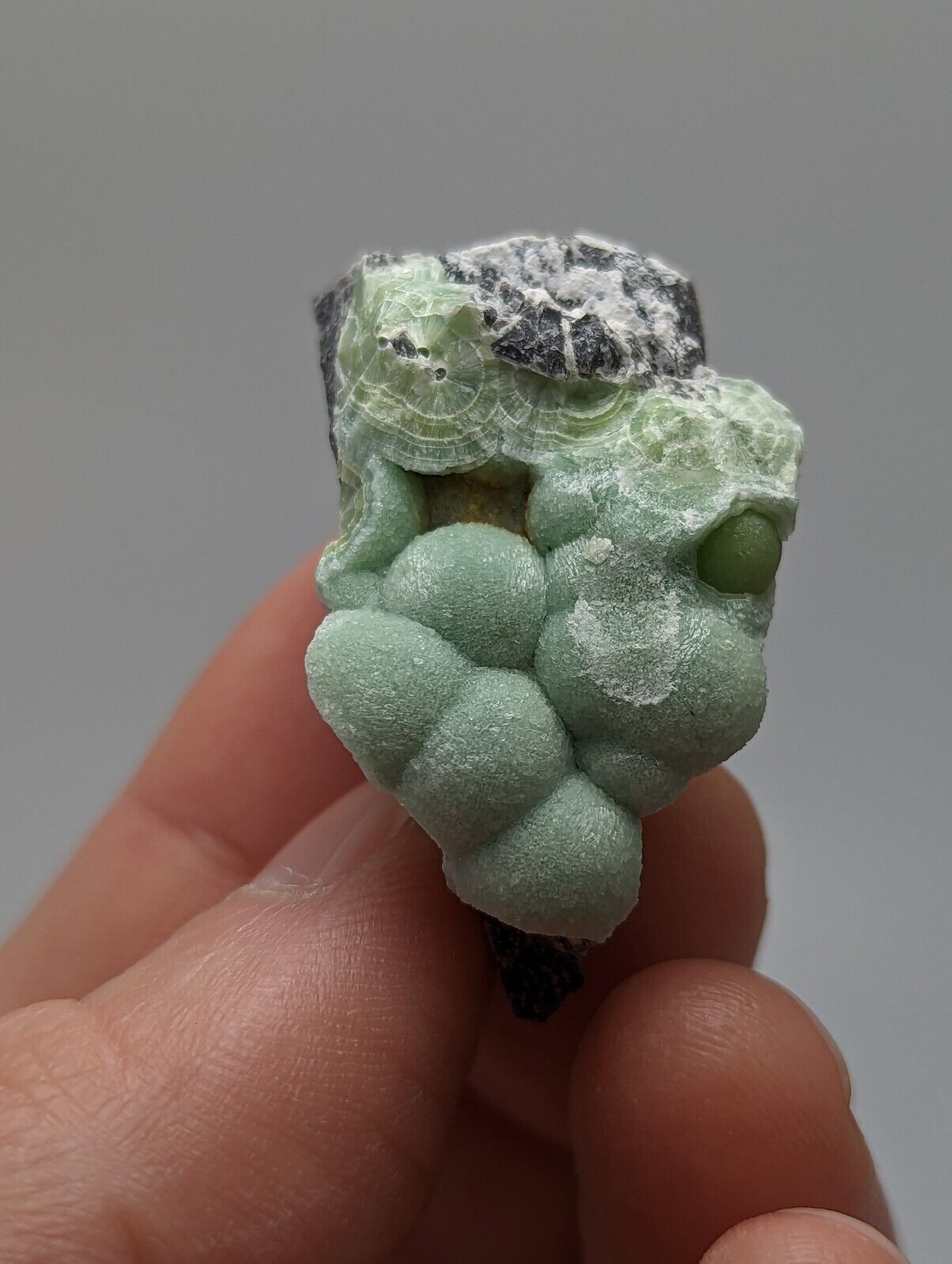 Wavellite - Fantastic 1990s Old Stock - Mauldin Mountain Arkansas - Collectibles:Rocks Fossils & Minerals:Crystals