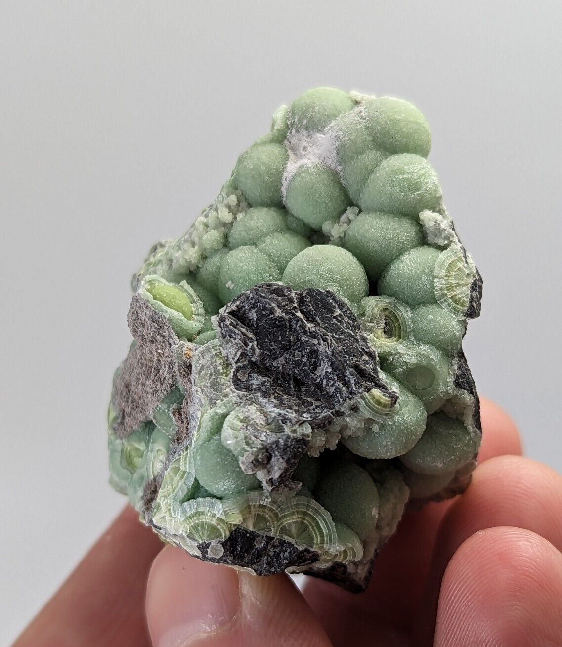 Wavellite -Fantastic 1990s Old Stock- Mauldin Mountain Arkansas montgomery co. - Collectibles:Rocks Fossils &
