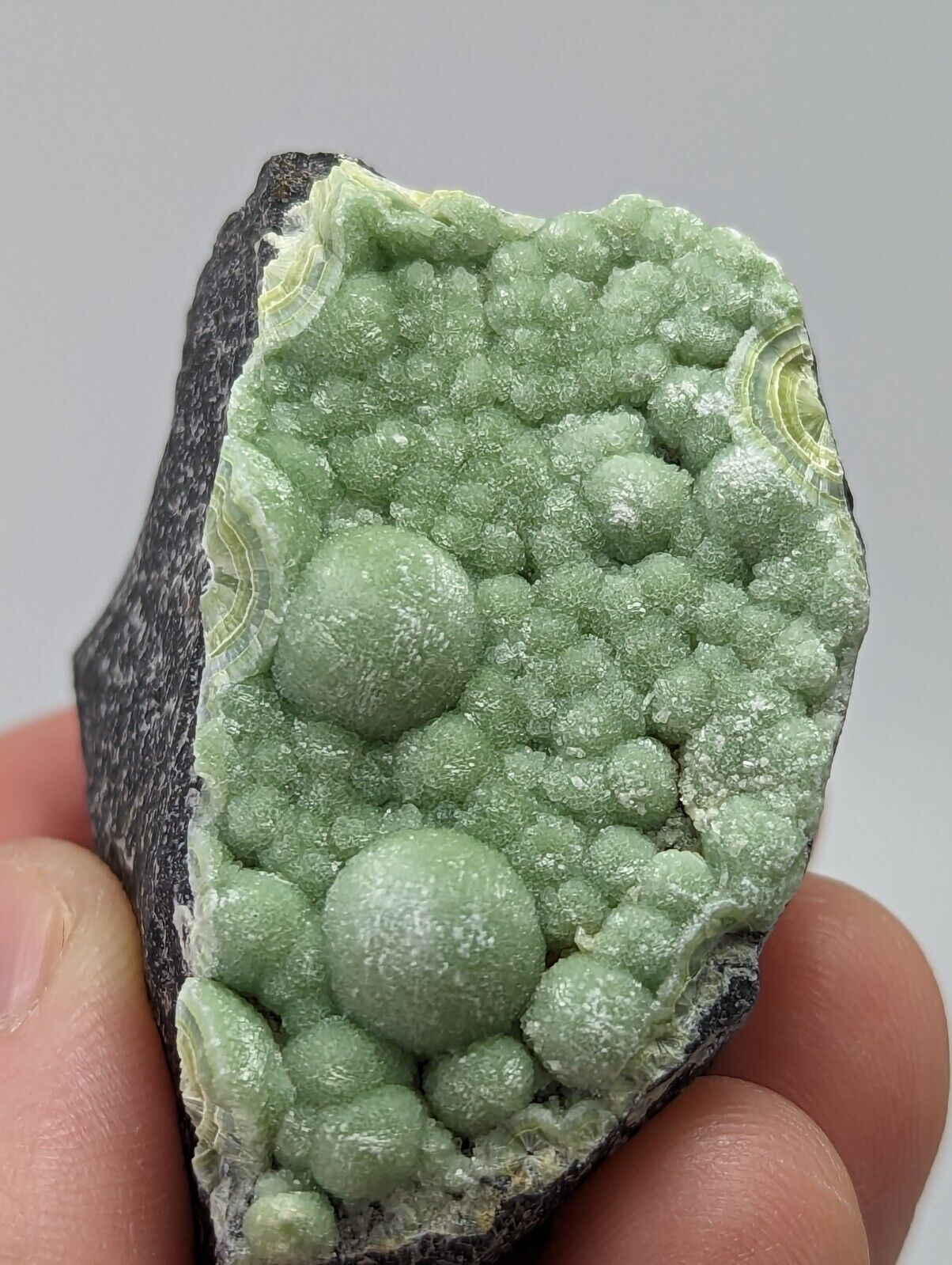 Wavellite - Fantastic 1990s Old Stock - Mauldin Mountain Arkansas - Collectibles:Rocks Fossils & Minerals:Crystals
