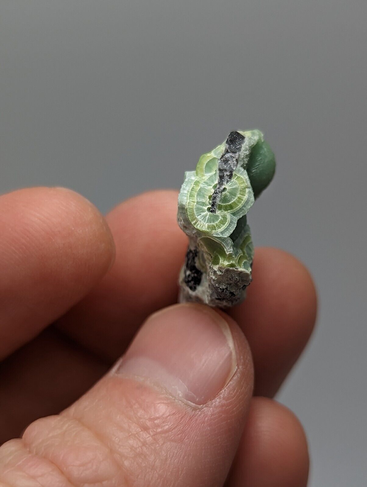 Wavellite - Fantastic 1990s Old Stock - Mauldin Mountain Arkansas A + micro - Collectibles:Rocks Fossils &