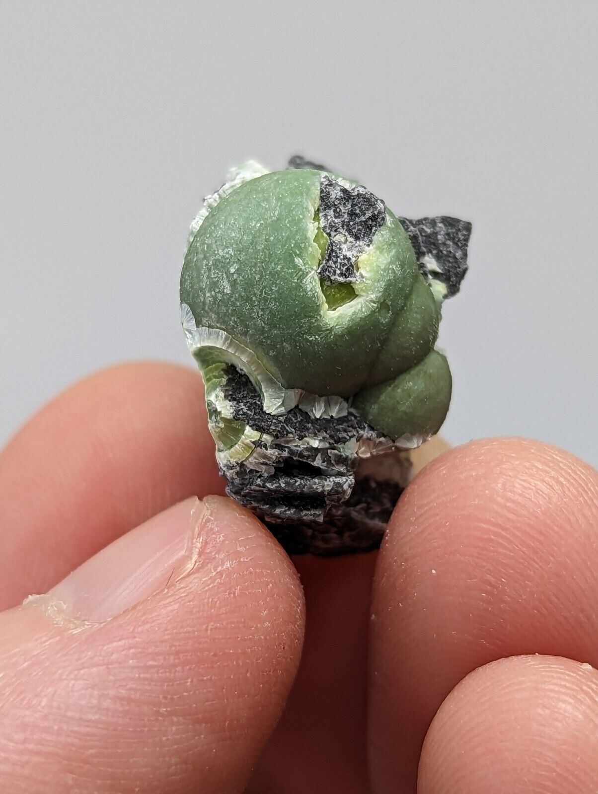 Wavellite - Fantastic 1990s Old Stock - Mauldin Mountain Arkansas - Collectibles:Rocks Fossils & Minerals:Crystals