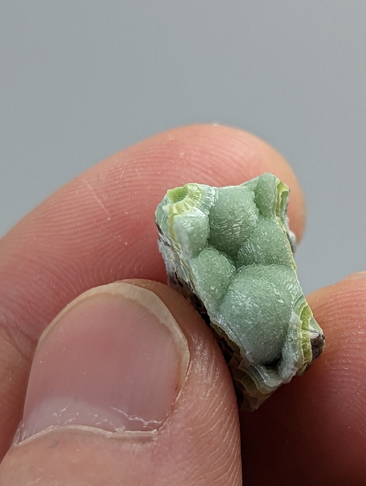 Wavellite - Fantastic 1990s Old Stock - Mauldin Mountain Arkansas - Collectibles:Rocks Fossils & Minerals:Crystals