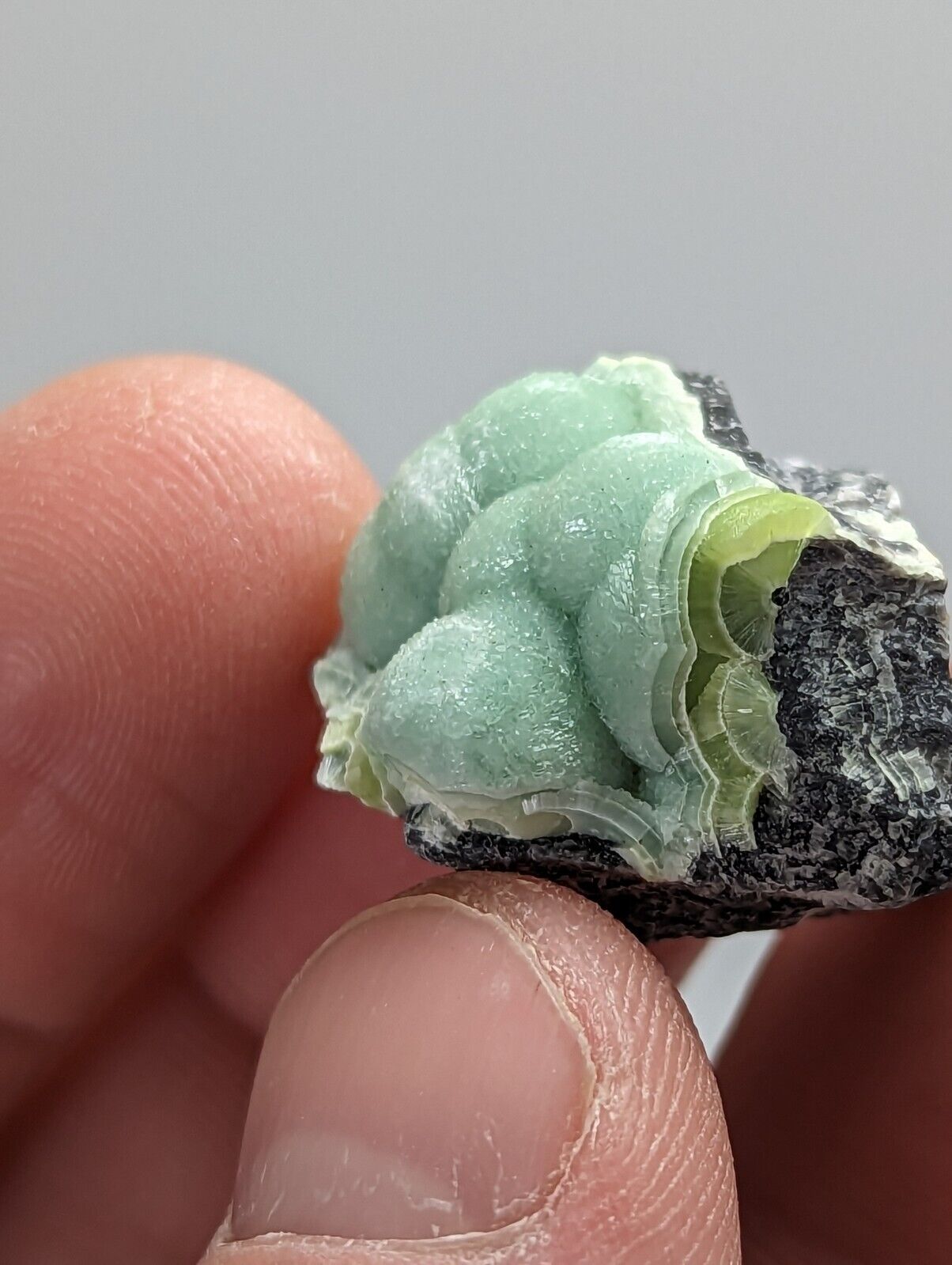 Wavellite - Fantastic 1990s Old Stock - Mauldin Mountain Arkansas - Collectibles:Rocks Fossils & Minerals:Crystals