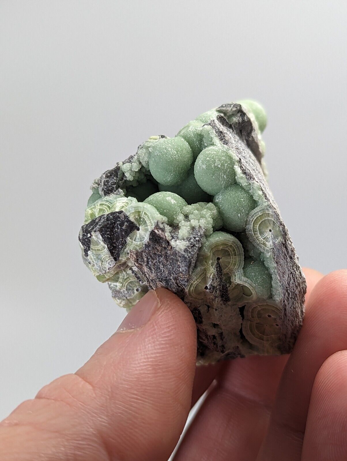 Wavellite -Fantastic 1990s Old Stock- Mauldin Mountain Arkansas montgomery co. - Collectibles:Rocks Fossils &