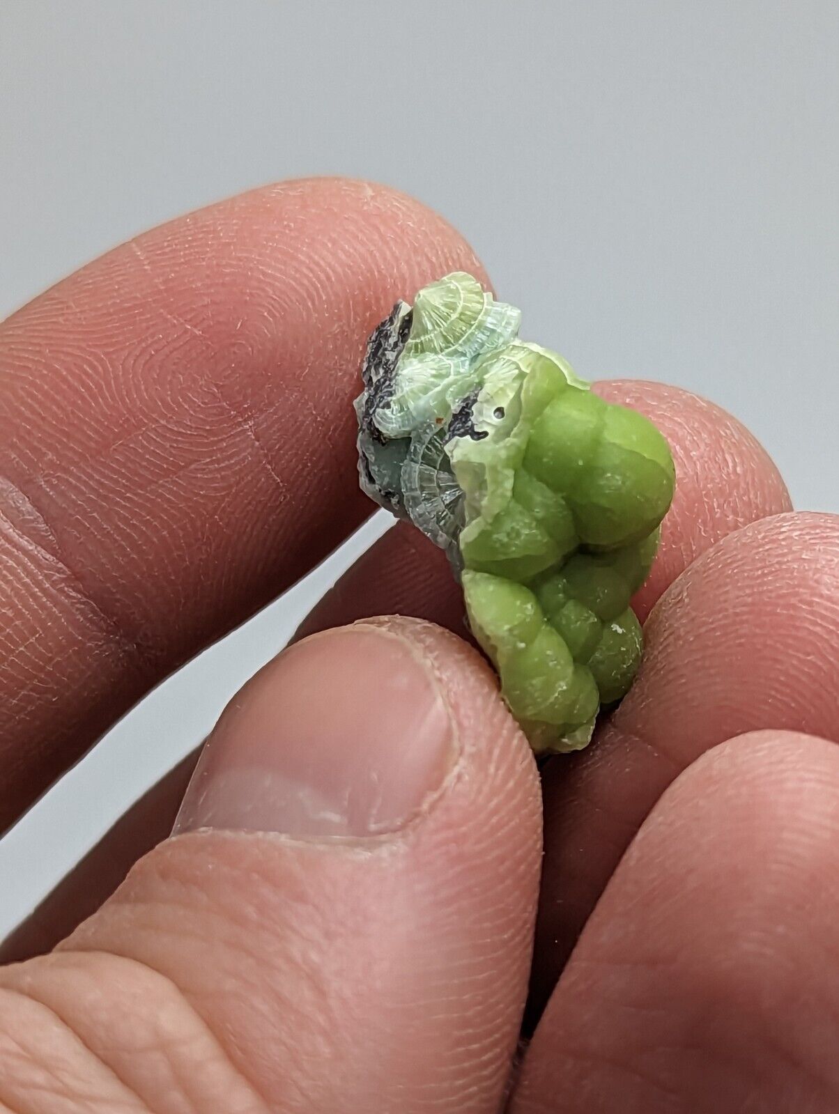 Wavellite - Fantastic 1990s Old Stock - Mauldin Mountain Arkansas - Collectibles:Rocks Fossils & Minerals:Crystals