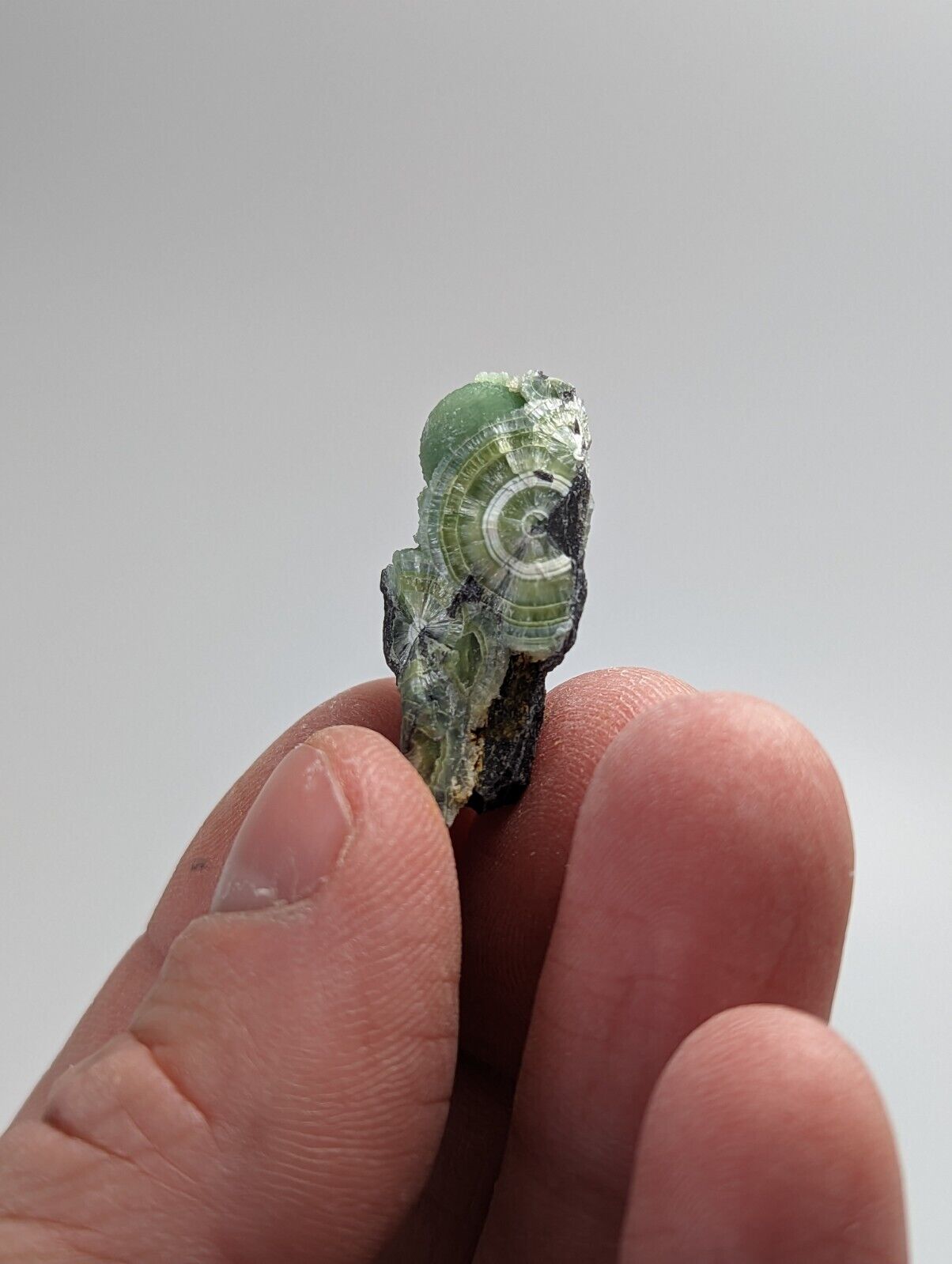 Wavellite - Fantastic 1990s Old Stock - Mauldin Mountain Arkansas - Collectibles:Rocks Fossils & Minerals:Crystals