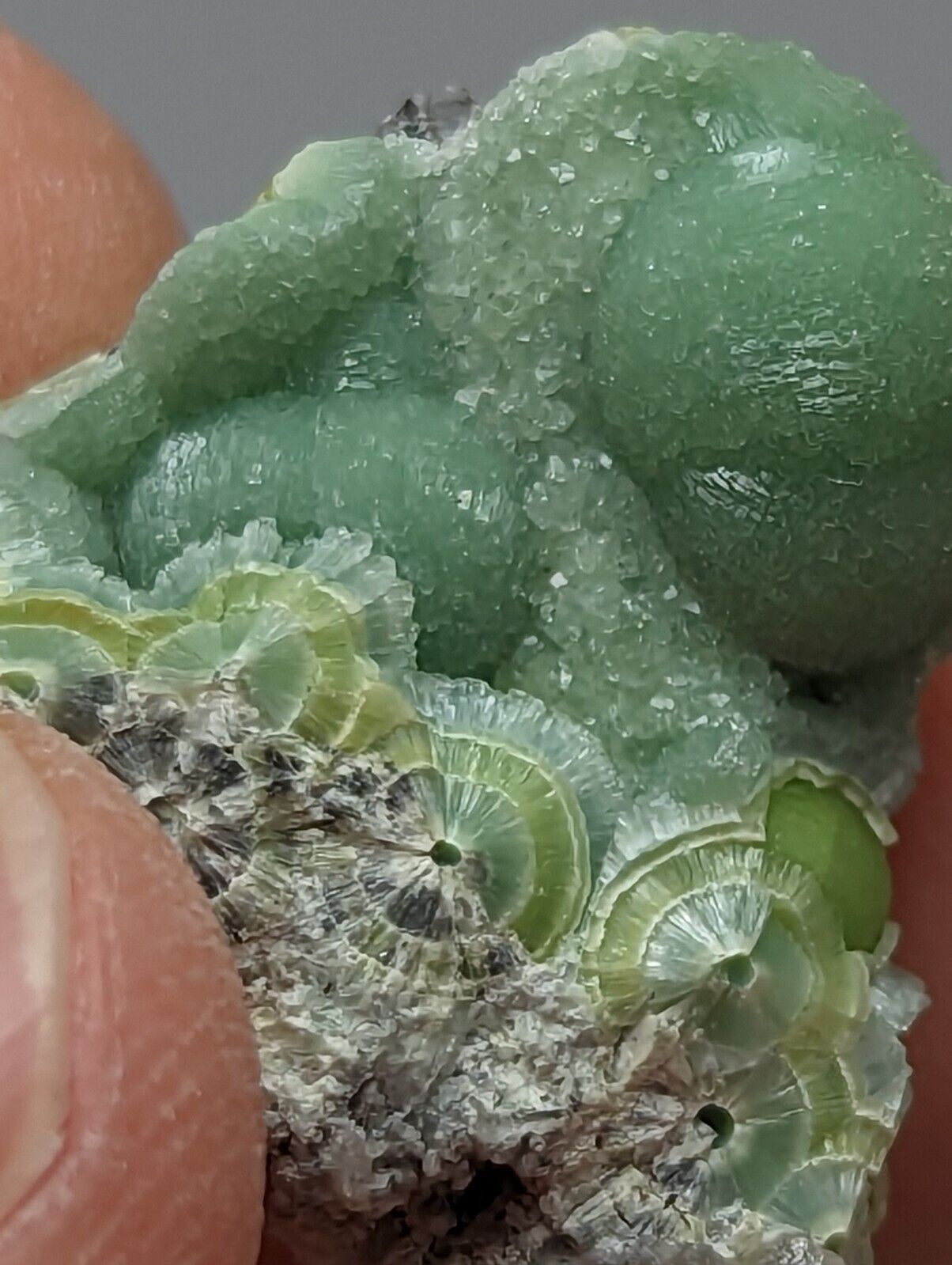 Wavellite - Fantastic 1990s Old Stock - Mauldin Mountain Arkansas A + micro - Collectibles:Rocks Fossils &