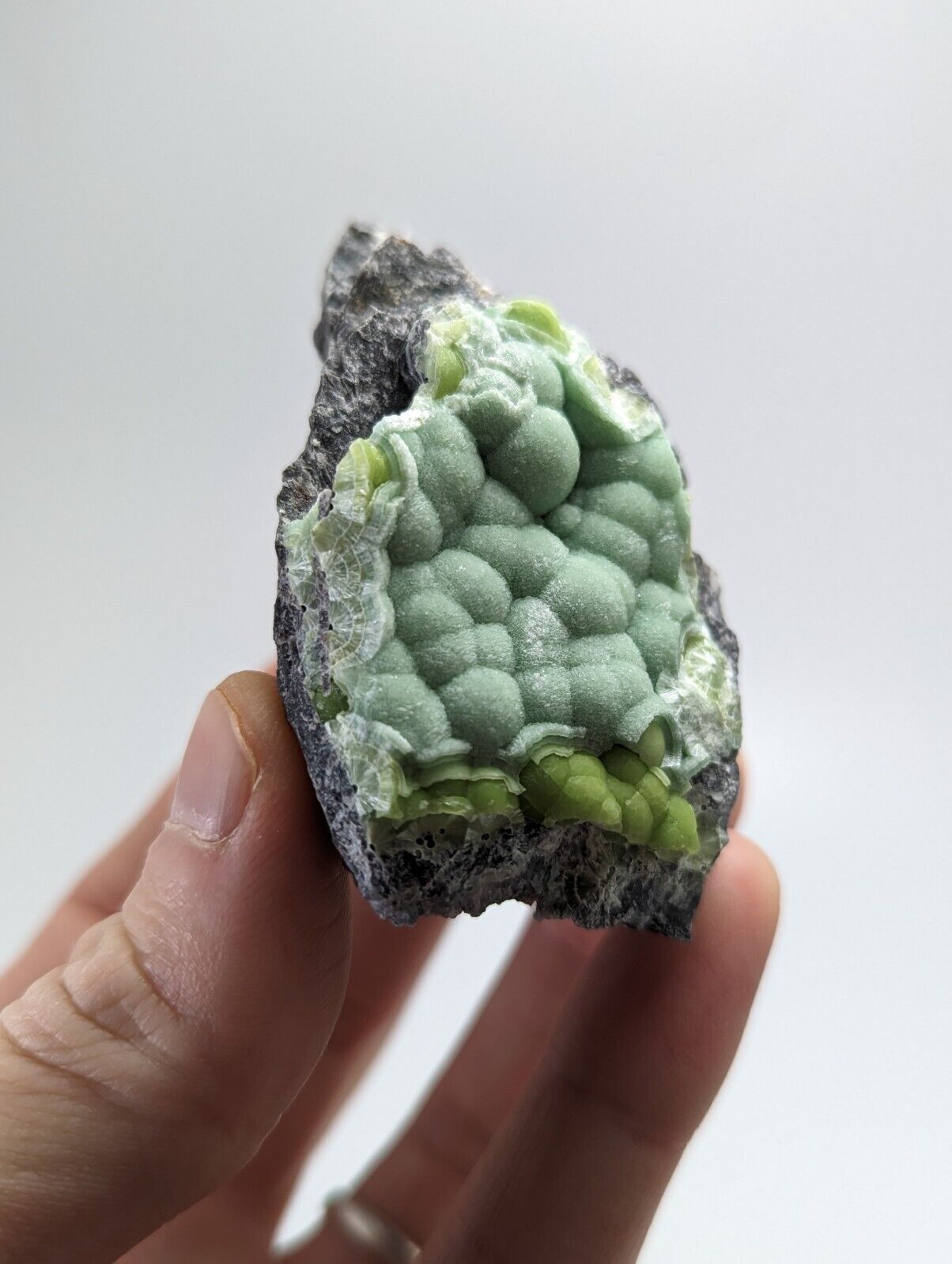 Wavellite - Fantastic 1990s Old Stock - Mauldin Mountain Arkansas - Collectibles:Rocks Fossils & Minerals:Crystals