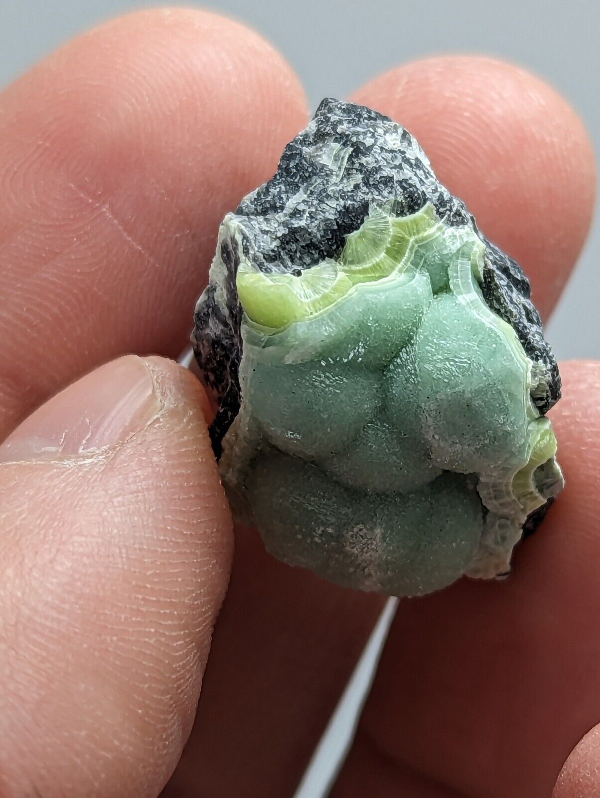 Wavellite - Fantastic 1990s Old Stock - Mauldin Mountain Arkansas - Collectibles:Rocks Fossils & Minerals:Crystals