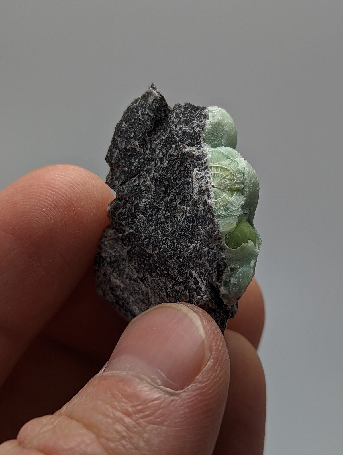 Wavellite - Fantastic 1990s Old Stock - Mauldin Mountain Arkansas - Collectibles:Rocks Fossils & Minerals:Crystals