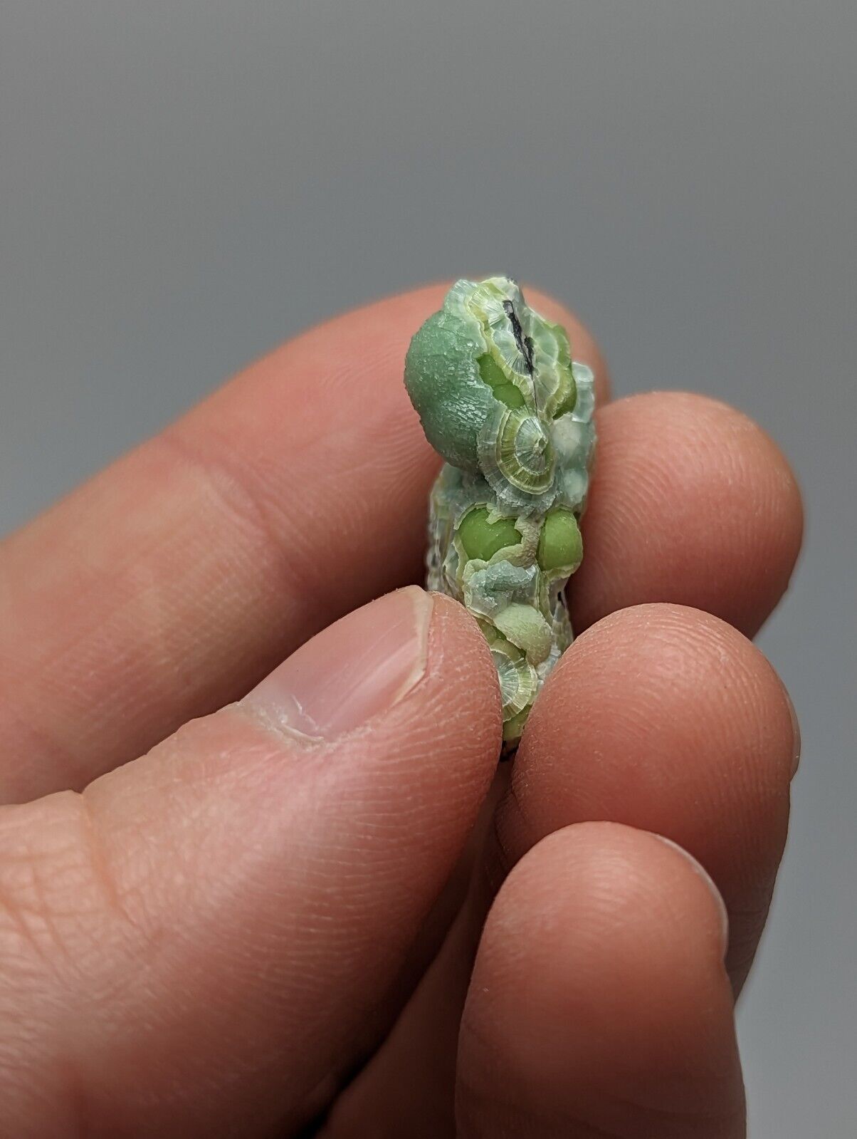 Wavellite - Fantastic 1990s Old Stock - Mauldin Mountain Arkansas A + micro - Collectibles:Rocks Fossils &