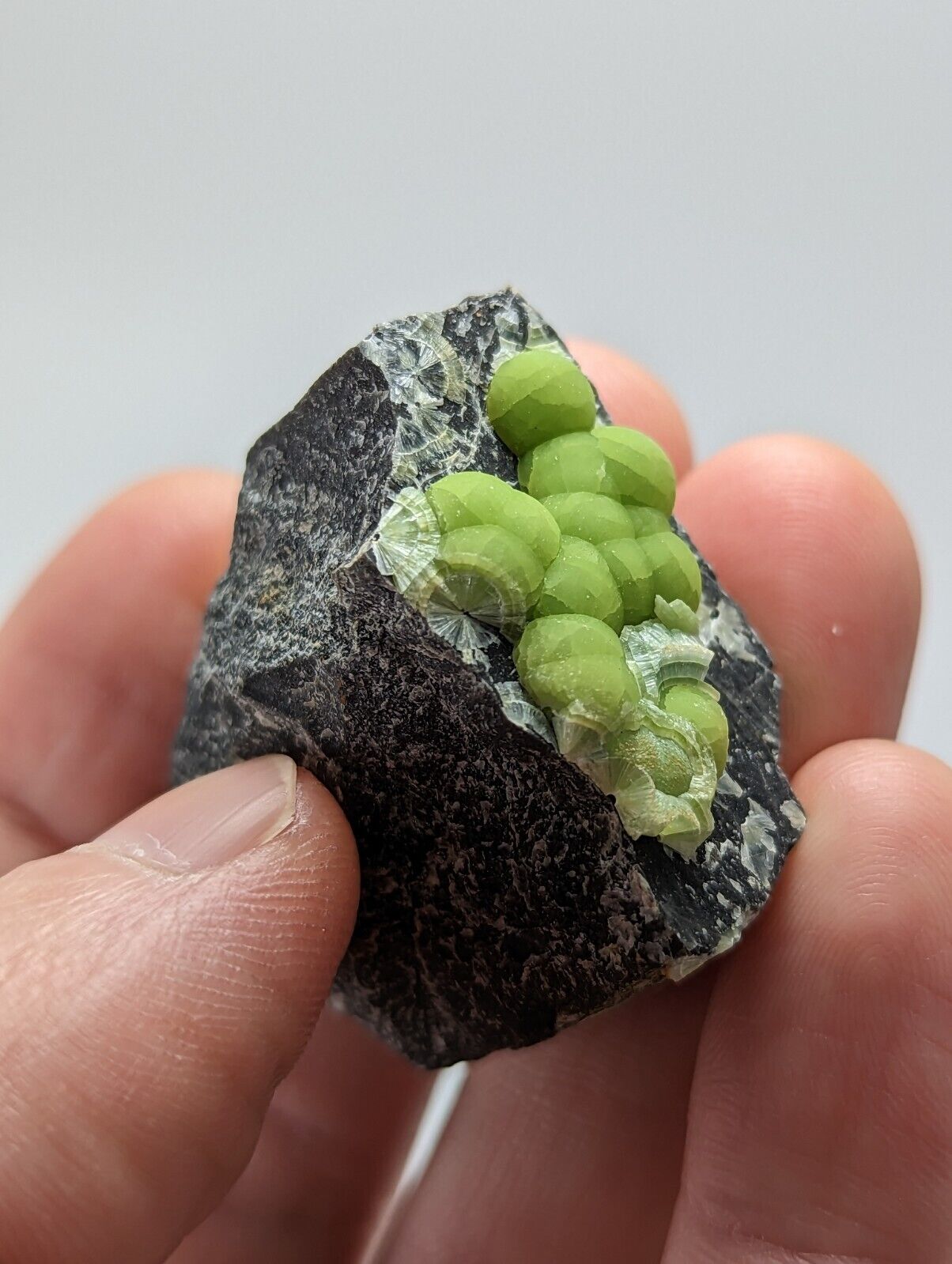 Wavellite - Fantastic 1990s Old Stock - Mauldin Mountain Arkansas - Collectibles:Rocks Fossils & Minerals:Crystals