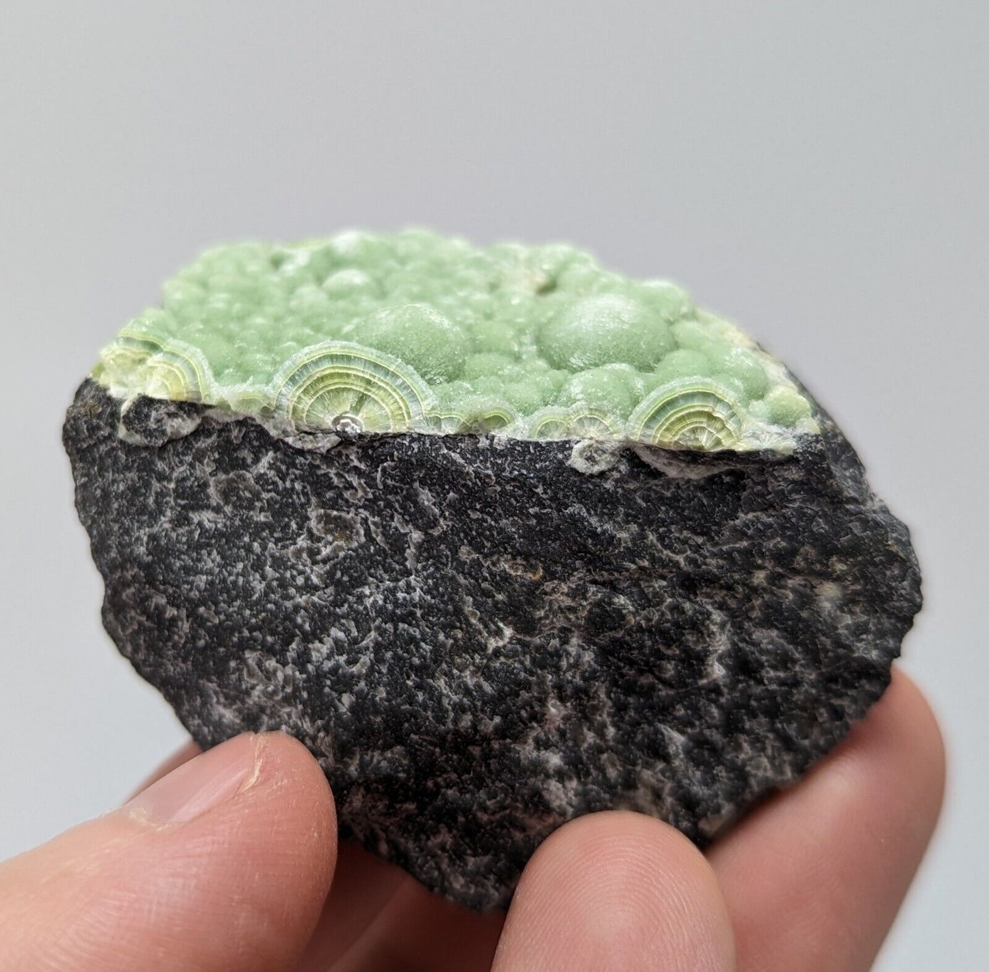 Wavellite - Fantastic 1990s Old Stock - Mauldin Mountain Arkansas - Collectibles:Rocks Fossils & Minerals:Crystals