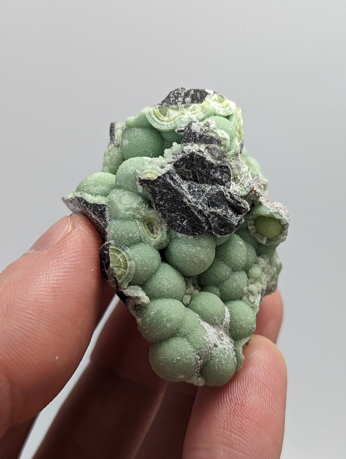 Wavellite -Fantastic 1990s Old Stock- Mauldin Mountain Arkansas montgomery co. - Collectibles:Rocks Fossils &