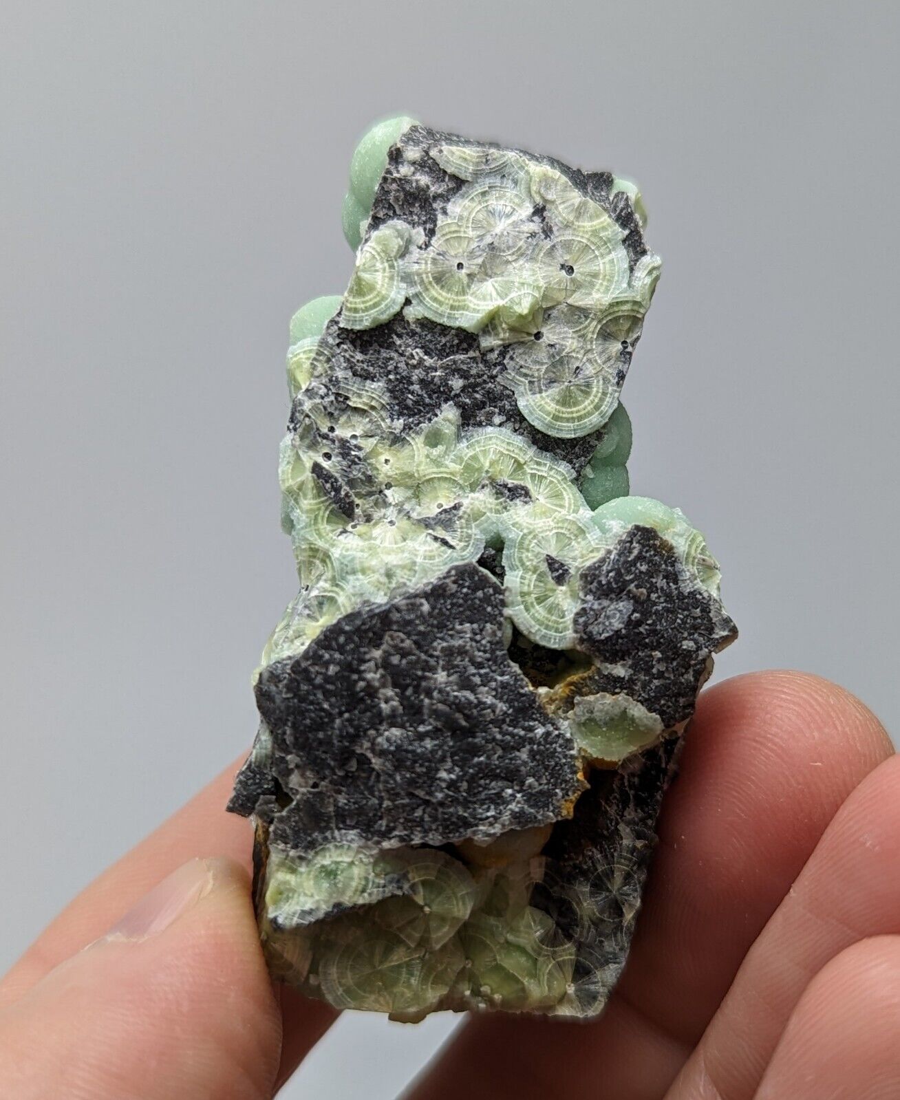 Wavellite - Fantastic 1990s Old Stock - Mauldin Mountain Arkansas - Collectibles:Rocks Fossils & Minerals:Crystals