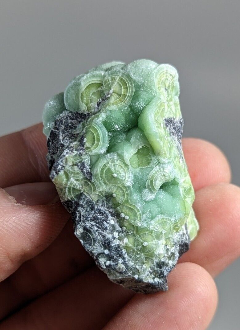 Wavellite - Fantastic 1990s Old Stock - Mauldin Mountain Arkansas - Collectibles:Rocks Fossils & Minerals:Crystals