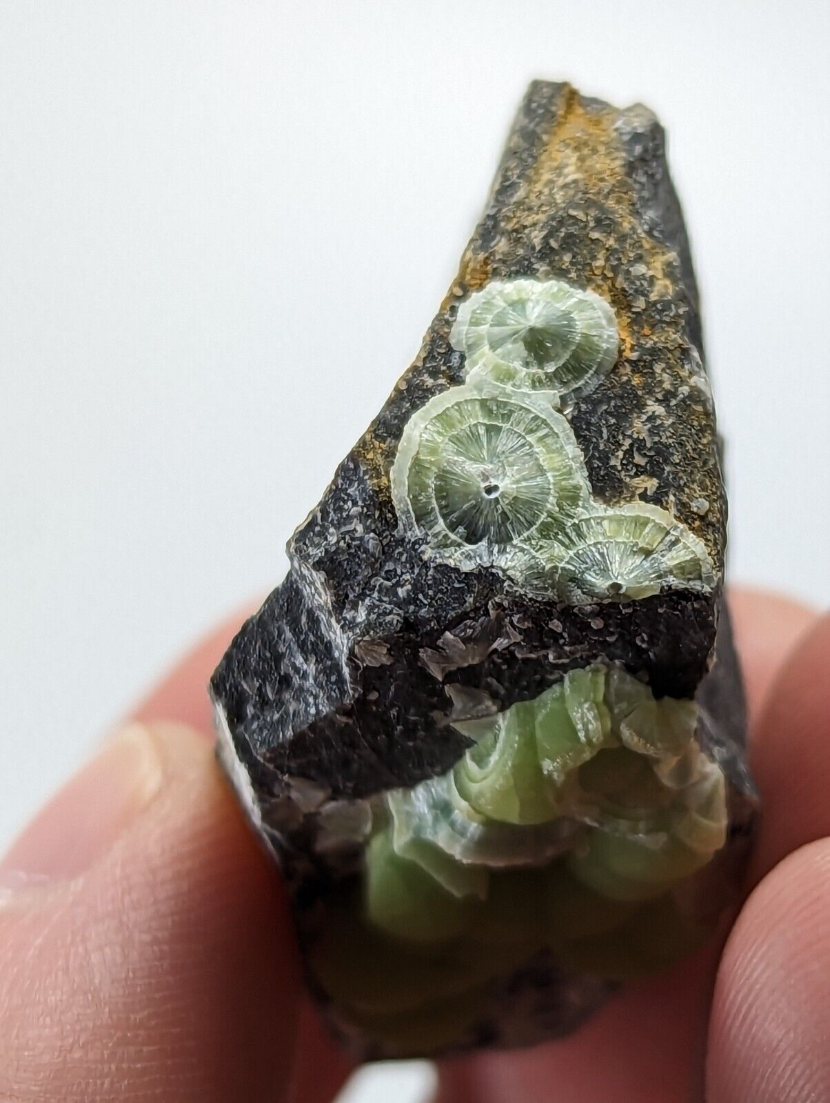 Wavellite - Fantastic 1990s Old Stock - Mauldin Mountain Arkansas - Collectibles:Rocks Fossils & Minerals:Crystals