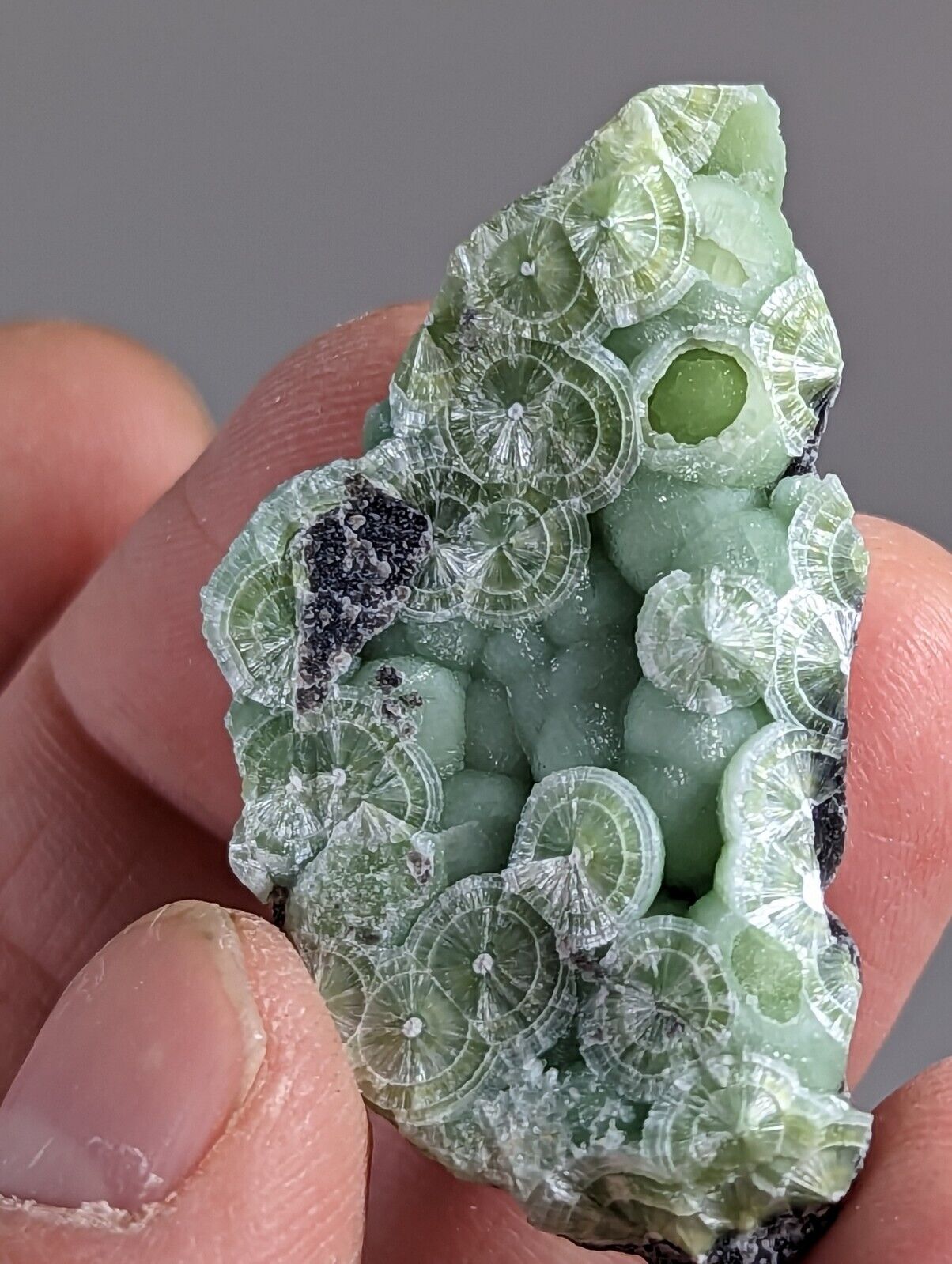 Wavellite - Fantastic 1990s Old Stock - Mauldin Mountain Arkansas - Collectibles:Rocks Fossils & Minerals:Crystals