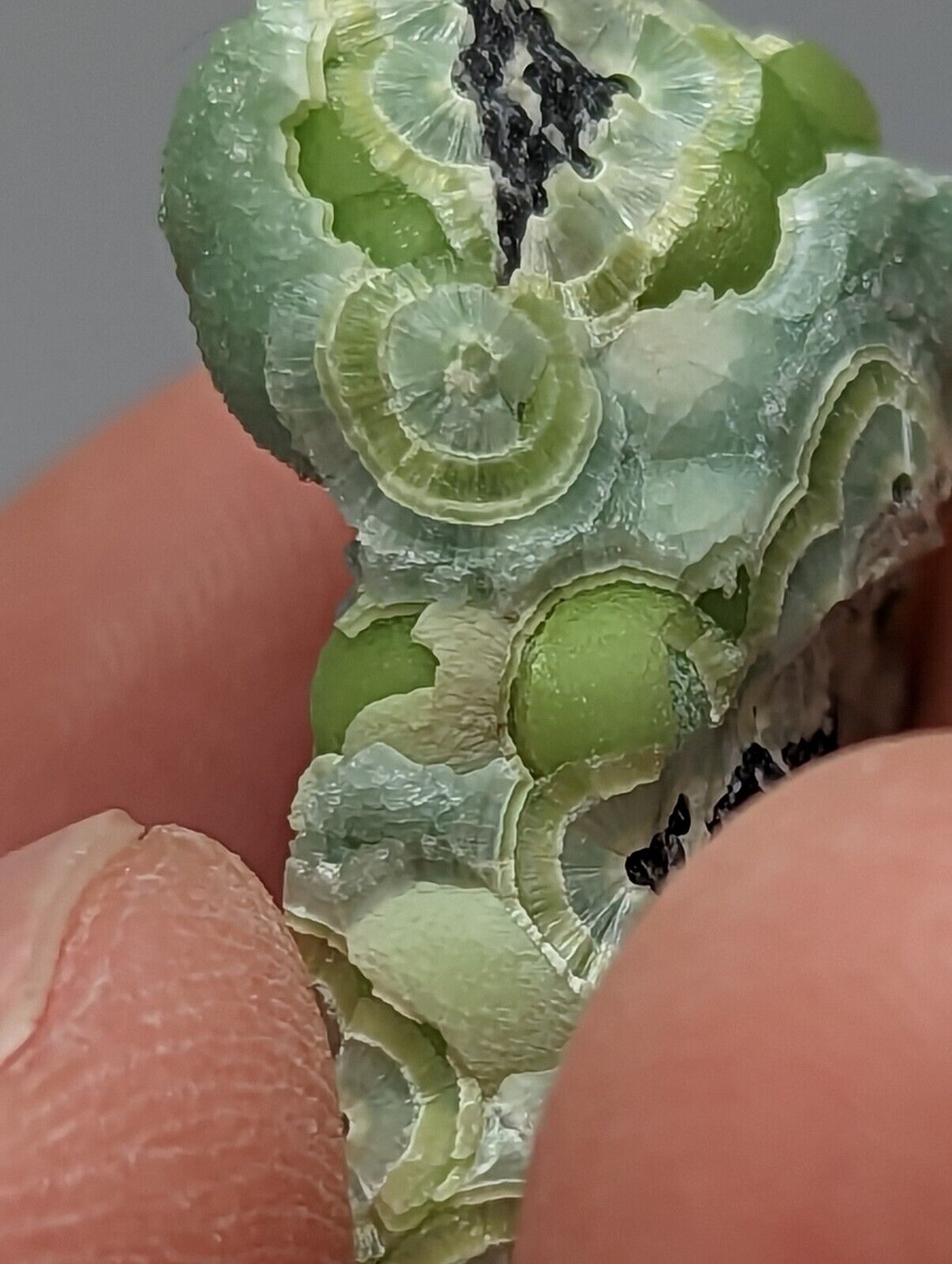 Wavellite - Fantastic 1990s Old Stock - Mauldin Mountain Arkansas A + micro - Collectibles:Rocks Fossils &