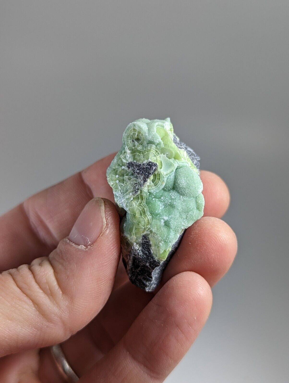Wavellite - Fantastic 1990s Old Stock - Mauldin Mountain Arkansas - Collectibles:Rocks Fossils & Minerals:Crystals