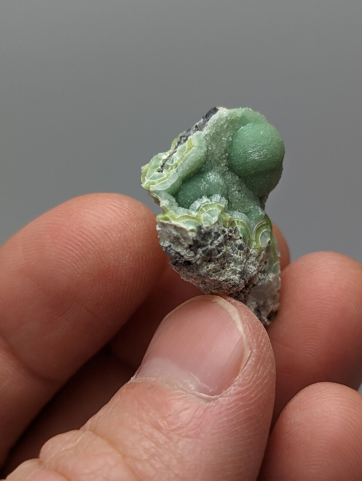 Wavellite - Fantastic 1990s Old Stock - Mauldin Mountain Arkansas A + micro - Collectibles:Rocks Fossils &