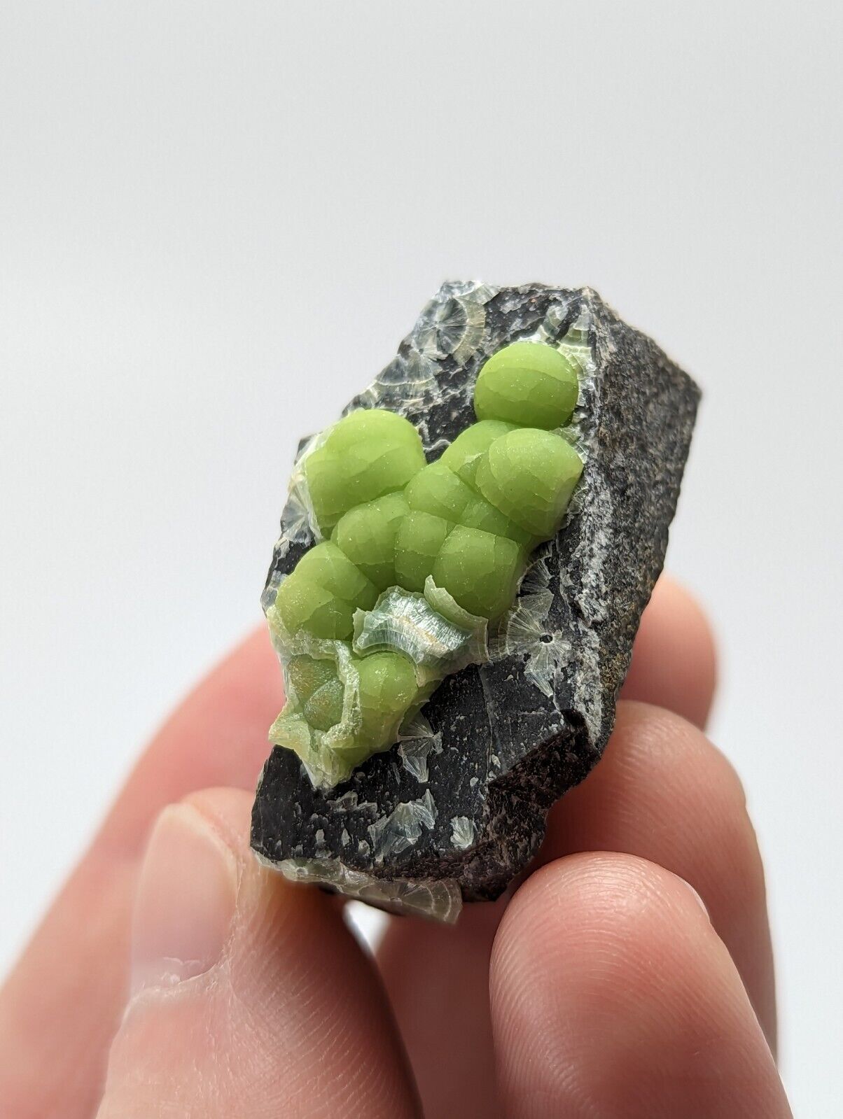 Wavellite - Fantastic 1990s Old Stock - Mauldin Mountain Arkansas - Collectibles:Rocks Fossils & Minerals:Crystals
