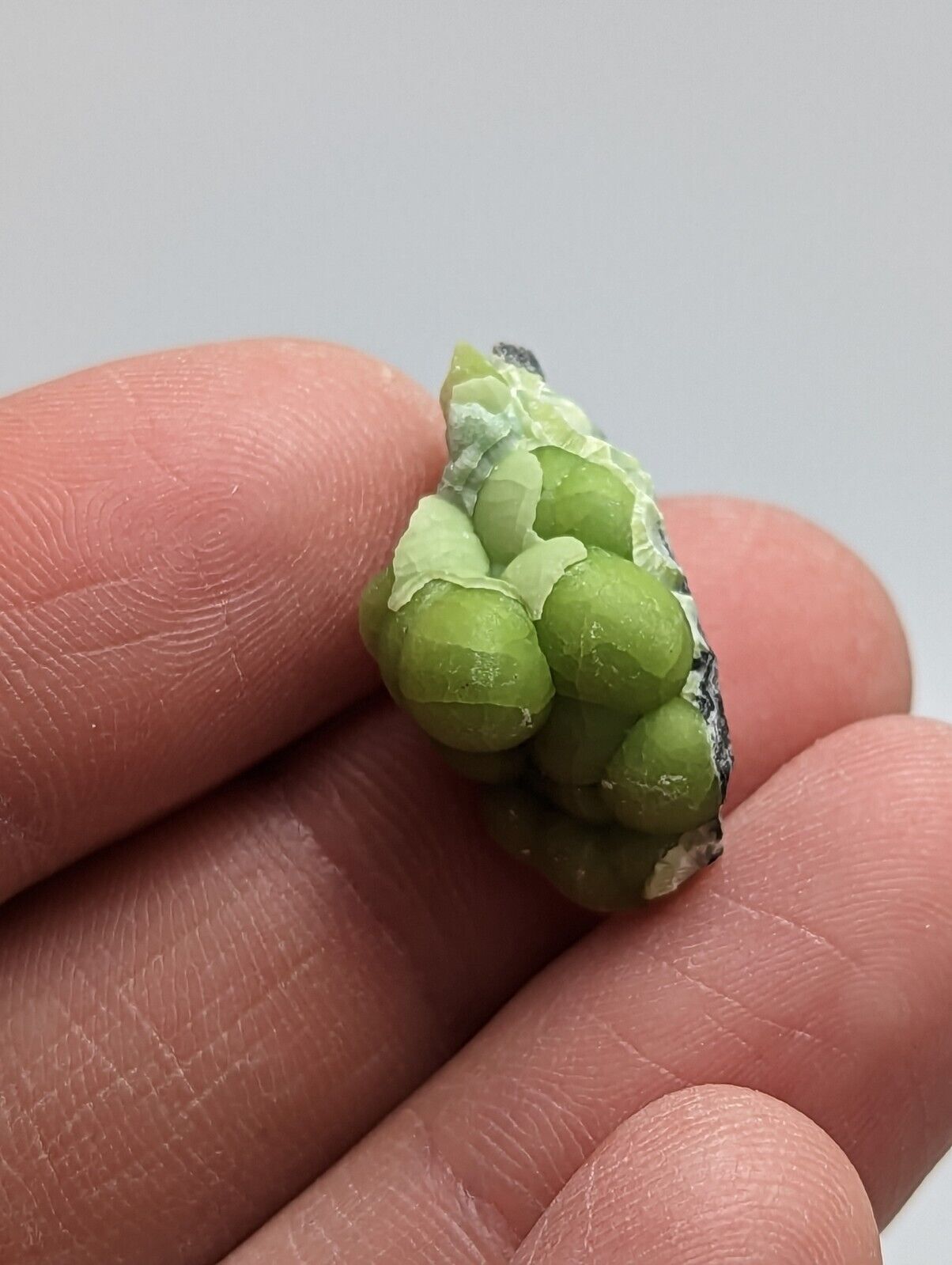 Wavellite - Fantastic 1990s Old Stock - Mauldin Mountain Arkansas - Collectibles:Rocks Fossils & Minerals:Crystals