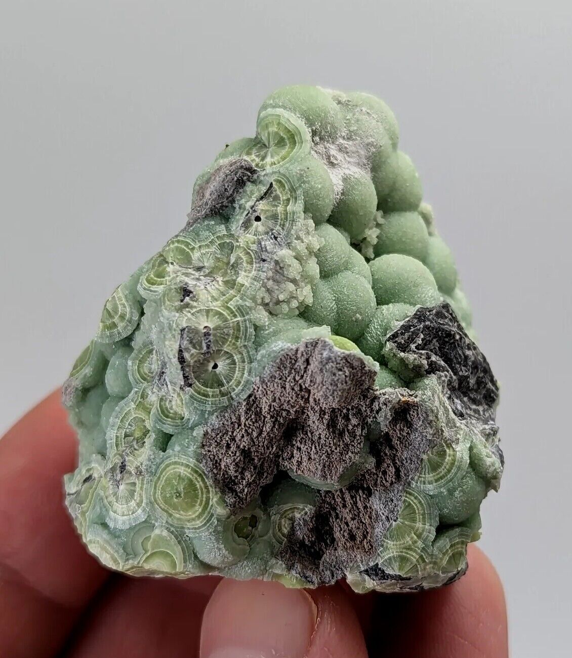 Wavellite -Fantastic 1990s Old Stock- Mauldin Mountain Arkansas montgomery co. - Collectibles:Rocks Fossils &