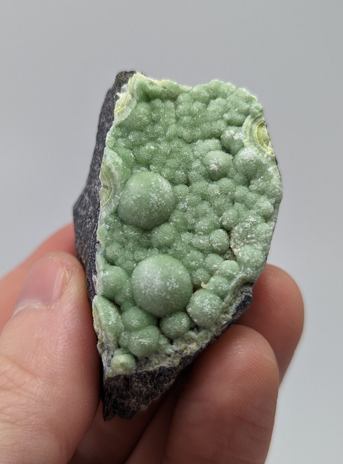 Wavellite - Fantastic 1990s Old Stock - Mauldin Mountain Arkansas - Collectibles:Rocks Fossils & Minerals:Crystals