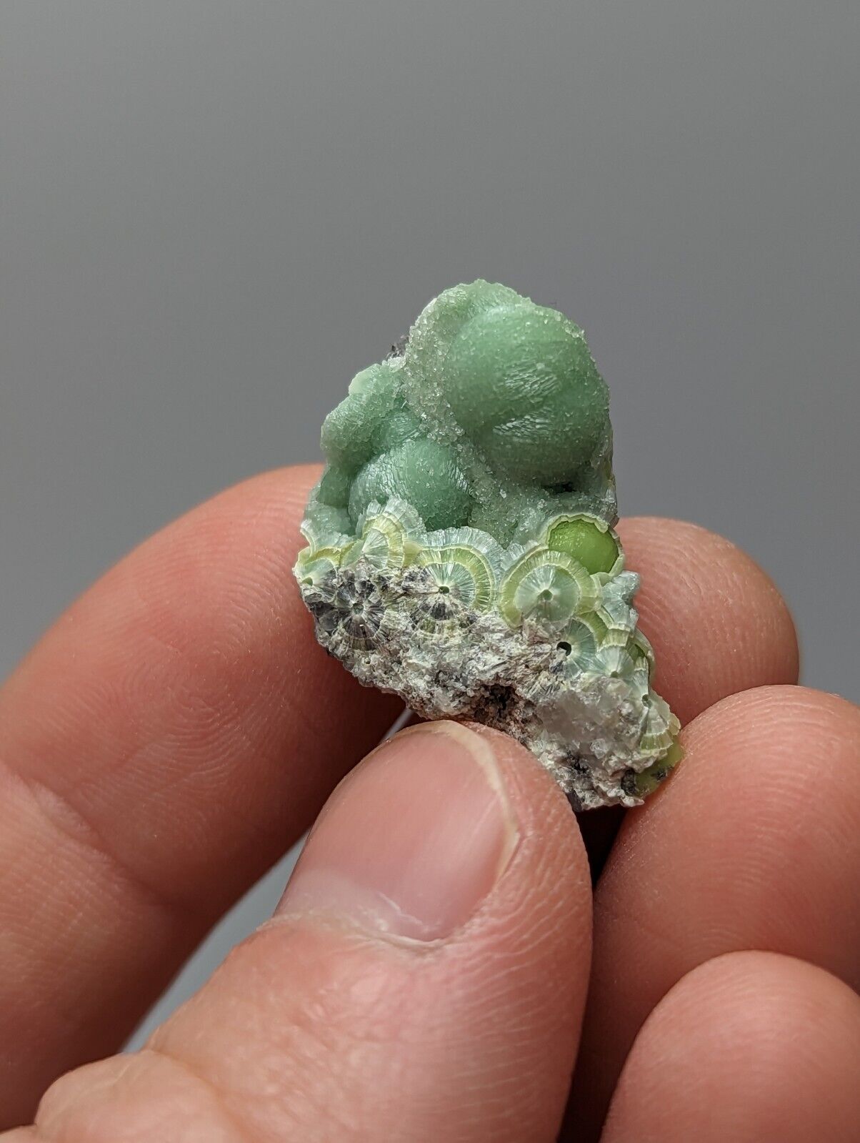 Wavellite - Fantastic 1990s Old Stock - Mauldin Mountain Arkansas A + micro - Collectibles:Rocks Fossils &