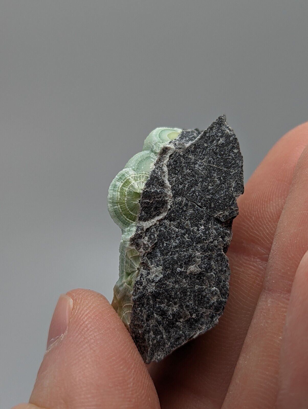 Wavellite - Fantastic 1990s Old Stock - Mauldin Mountain Arkansas - Collectibles:Rocks Fossils & Minerals:Crystals