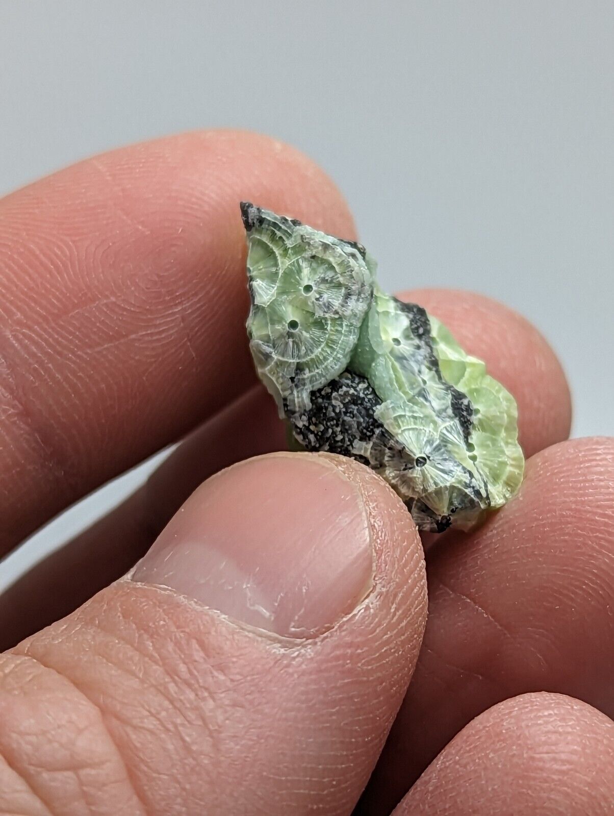 Wavellite - Fantastic 1990s Old Stock - Mauldin Mountain Arkansas - Collectibles:Rocks Fossils & Minerals:Crystals