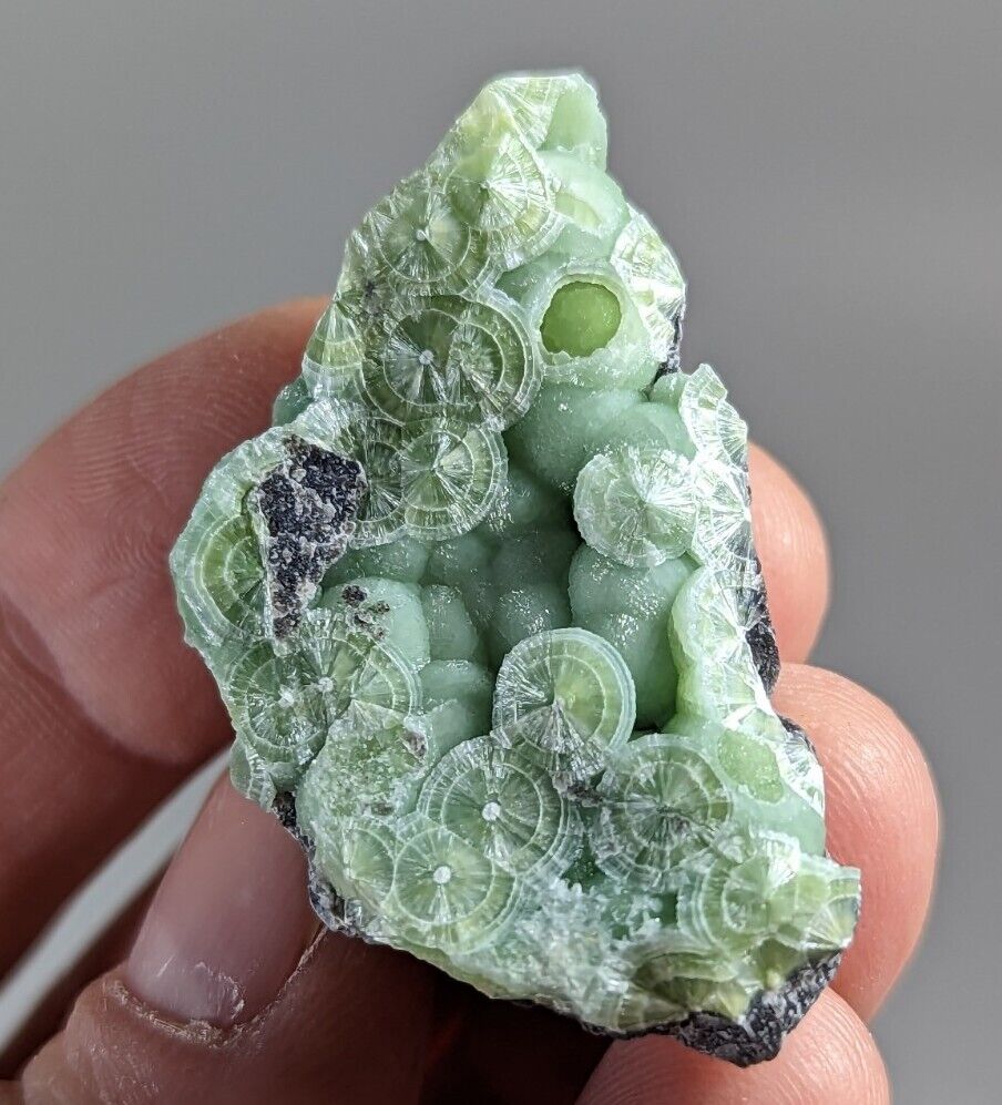 Wavellite - Fantastic 1990s Old Stock - Mauldin Mountain Arkansas - Collectibles:Rocks Fossils & Minerals:Crystals