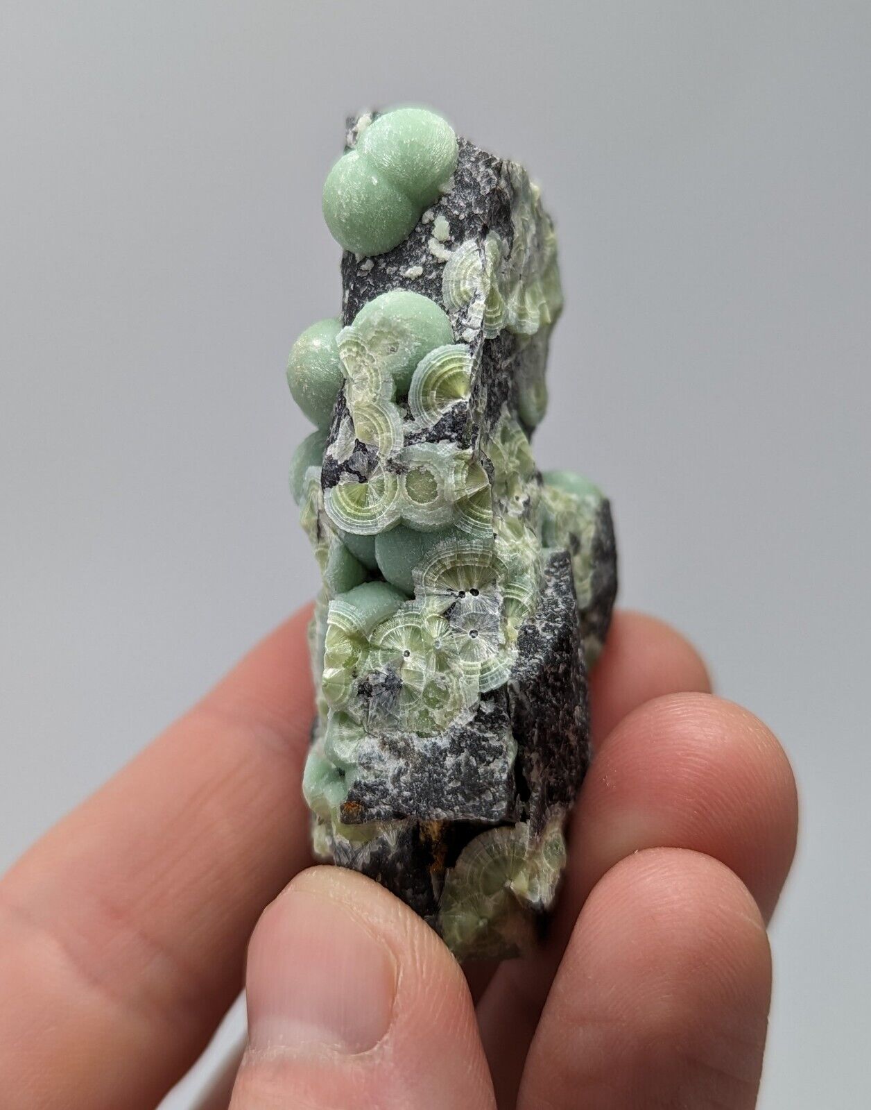 Wavellite - Fantastic 1990s Old Stock - Mauldin Mountain Arkansas - Collectibles:Rocks Fossils & Minerals:Crystals