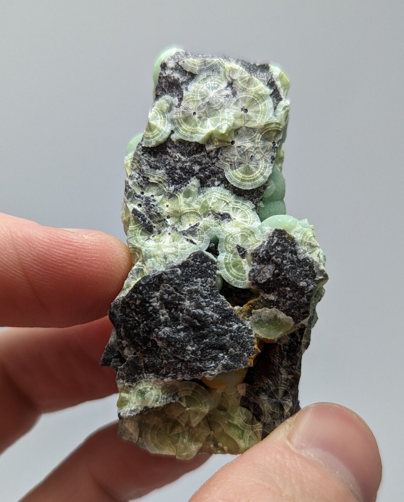 Wavellite - Fantastic 1990s Old Stock - Mauldin Mountain Arkansas - Collectibles:Rocks Fossils & Minerals:Crystals