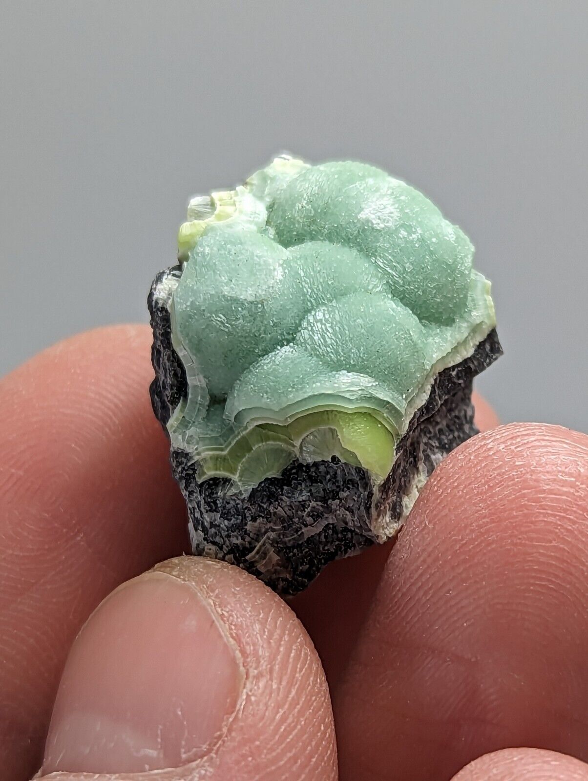 Wavellite - Fantastic 1990s Old Stock - Mauldin Mountain Arkansas - Collectibles:Rocks Fossils & Minerals:Crystals