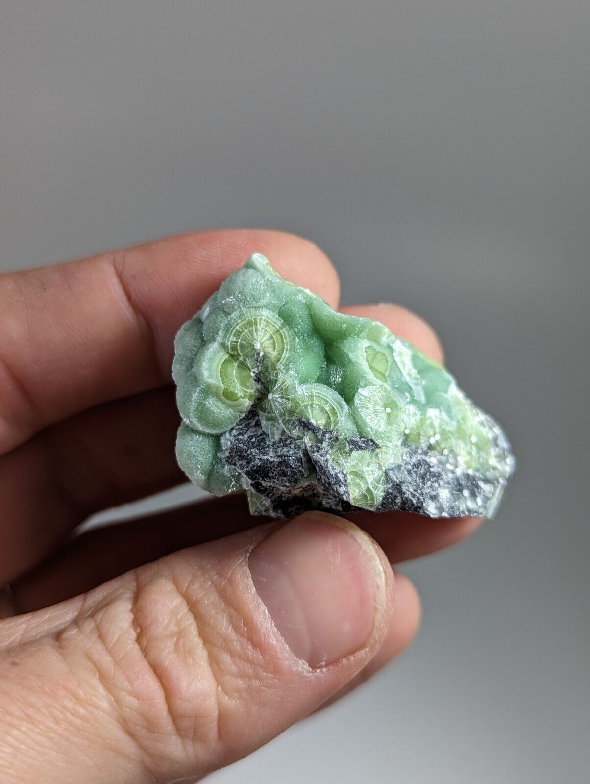 Wavellite - Fantastic 1990s Old Stock - Mauldin Mountain Arkansas - Collectibles:Rocks Fossils & Minerals:Crystals