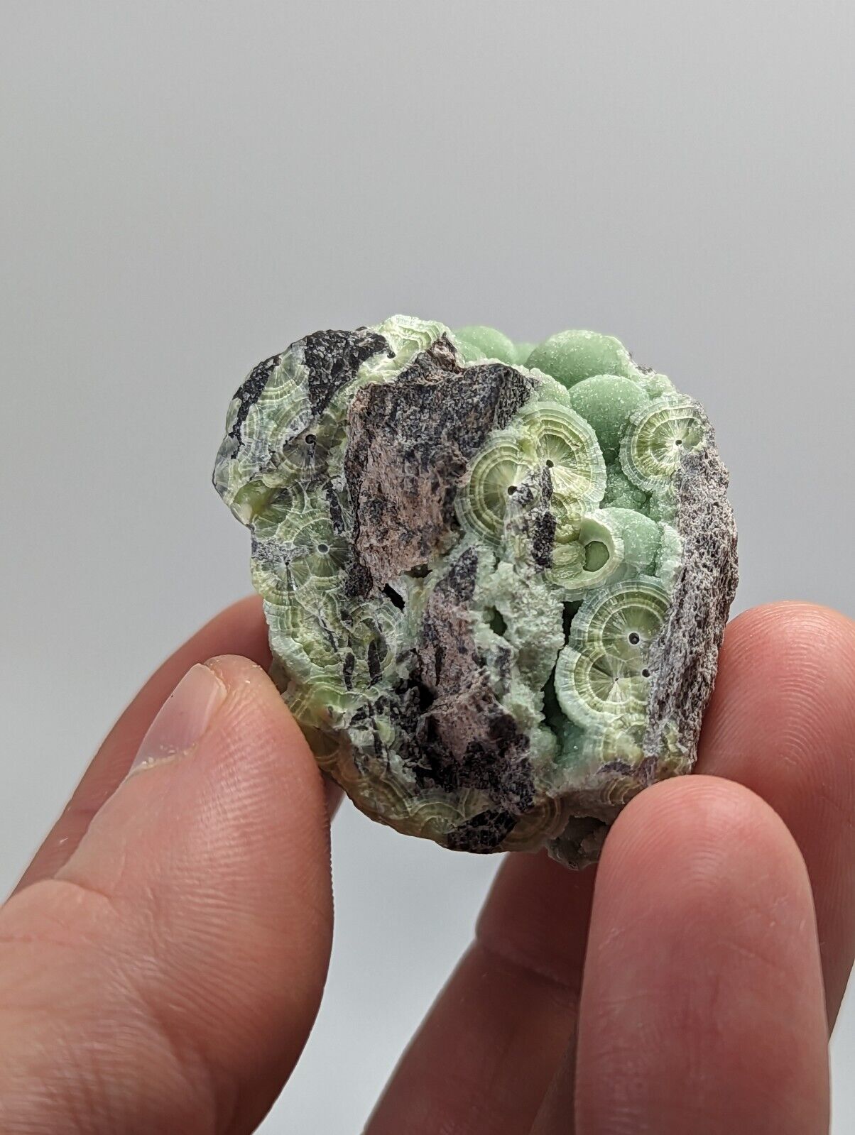 Wavellite -Fantastic 1990s Old Stock- Mauldin Mountain Arkansas montgomery co. - Collectibles:Rocks Fossils &