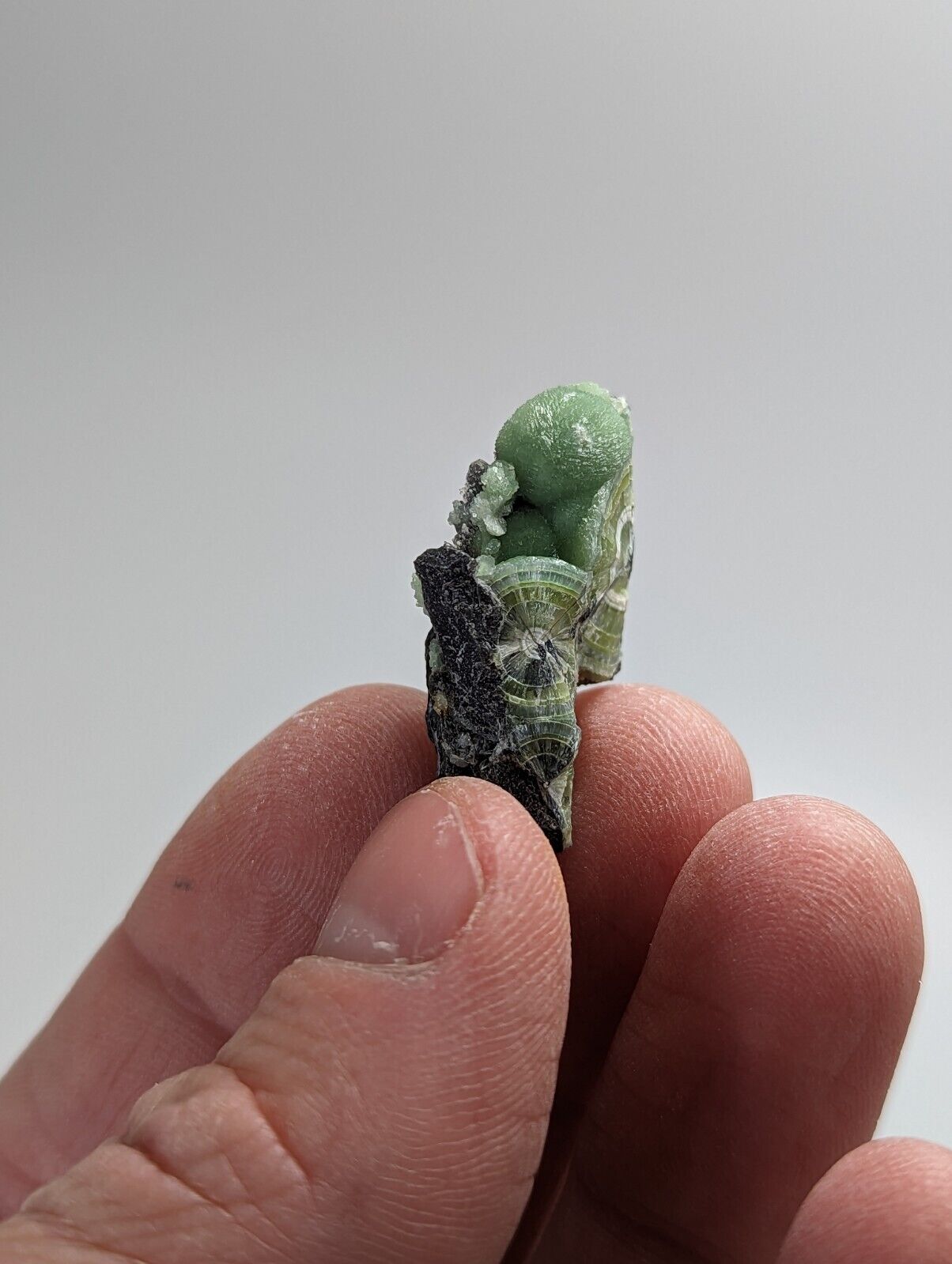 Wavellite - Fantastic 1990s Old Stock - Mauldin Mountain Arkansas - Collectibles:Rocks Fossils & Minerals:Crystals