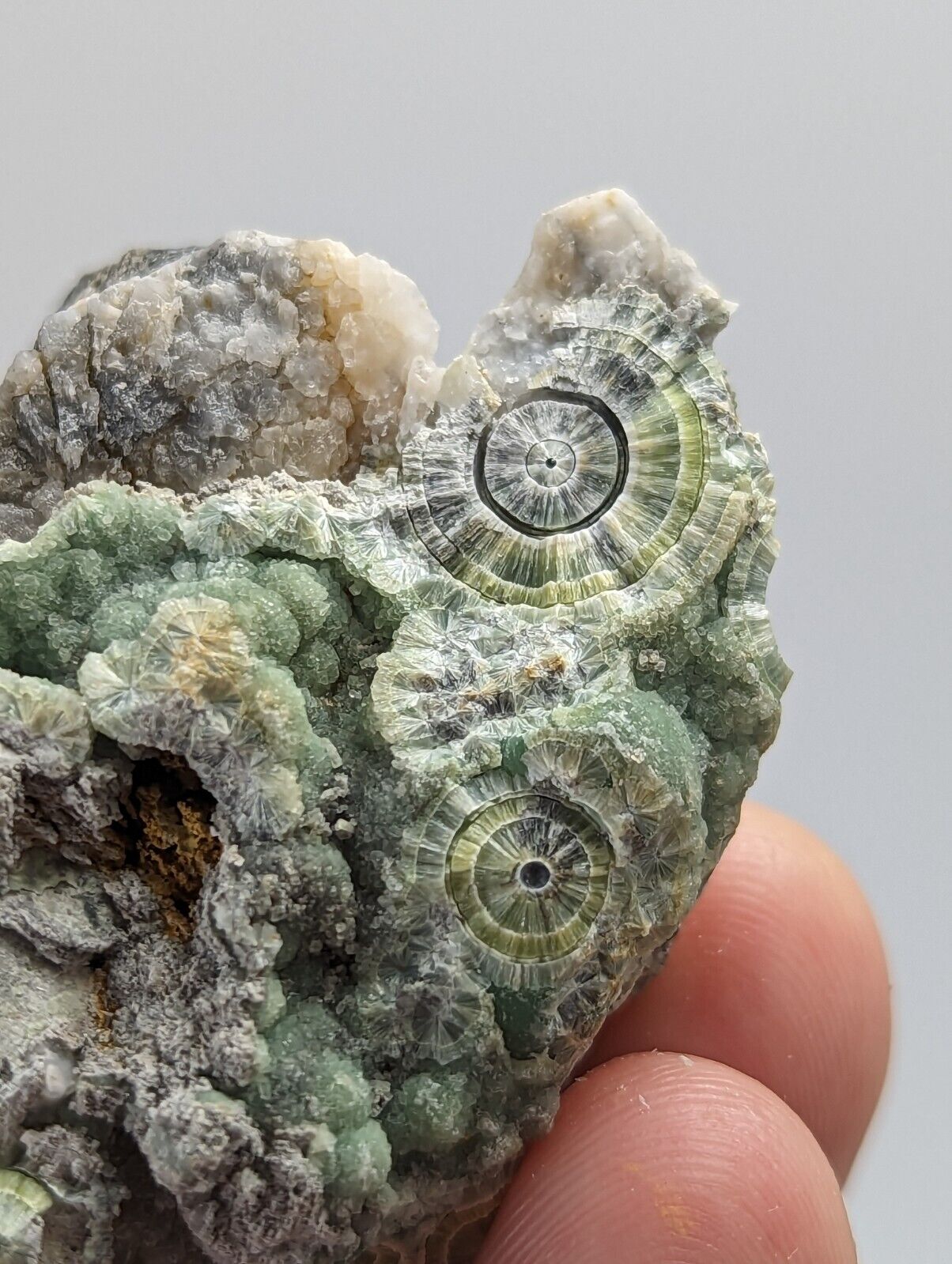 Wavellite - Fantastic 1990s Old Stock - Mauldin Mountain Arkansas - Collectibles:Rocks Fossils & Minerals:Crystals